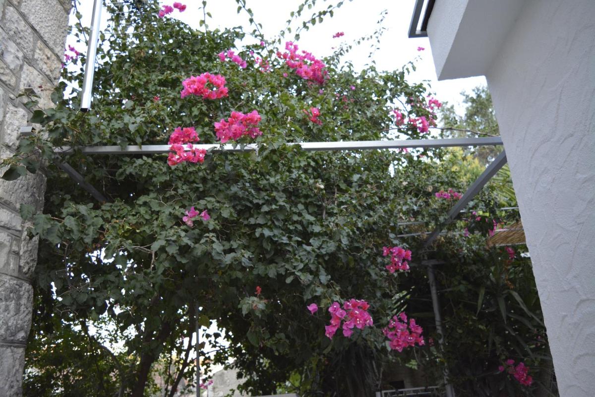 Photo 52
