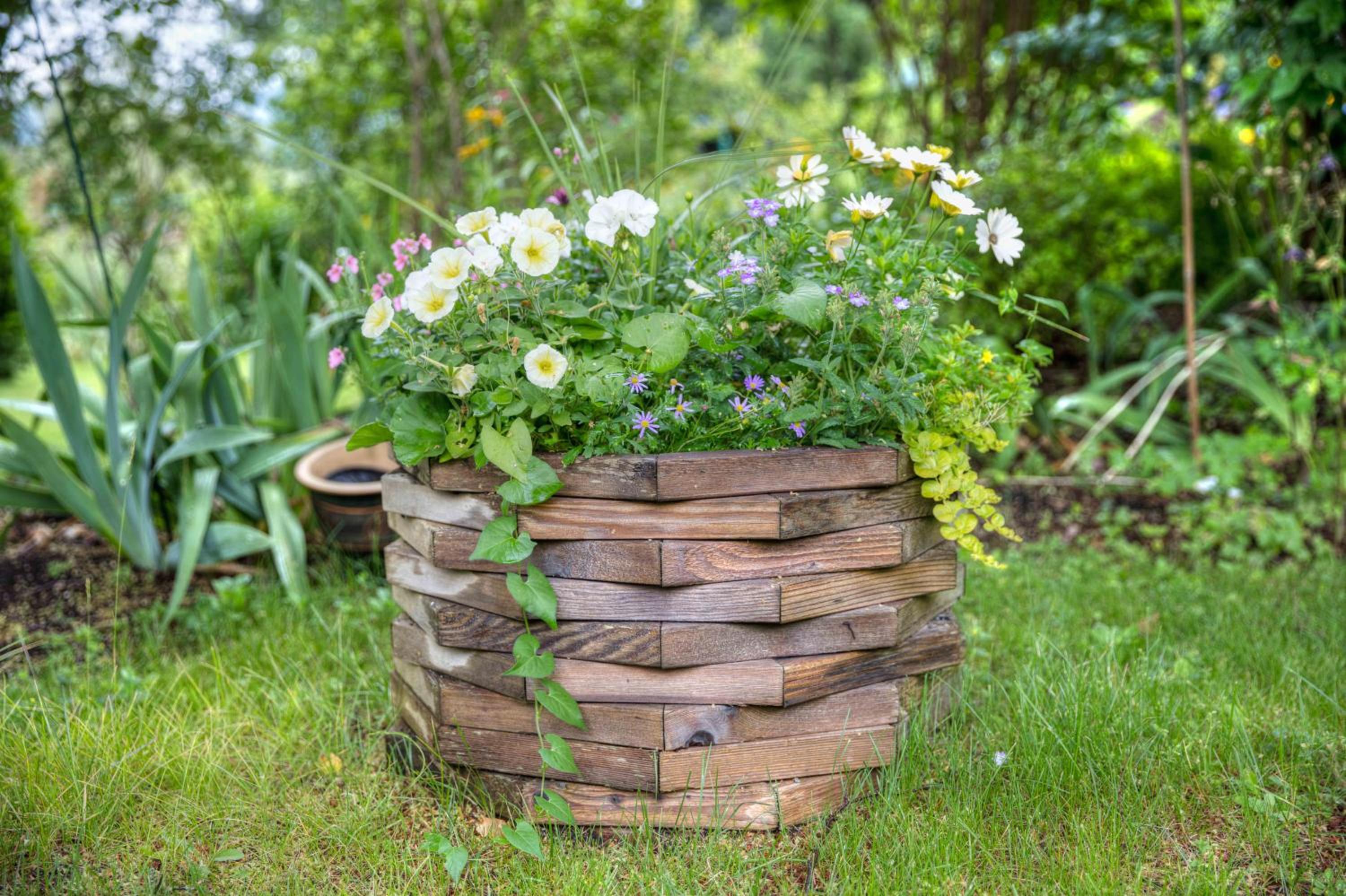 Hummingbird Bed and Breakfast