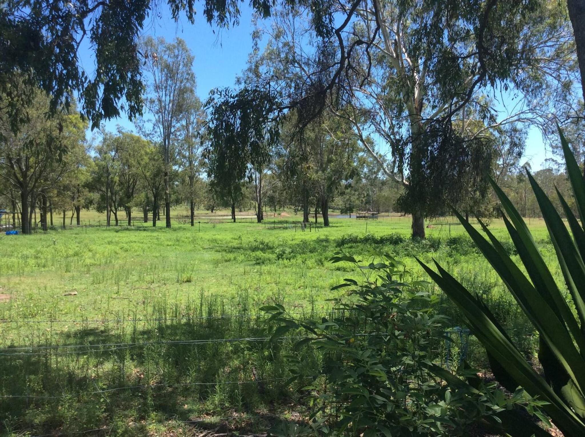 Seehorse Meadows, a Farm Stay in Churchable