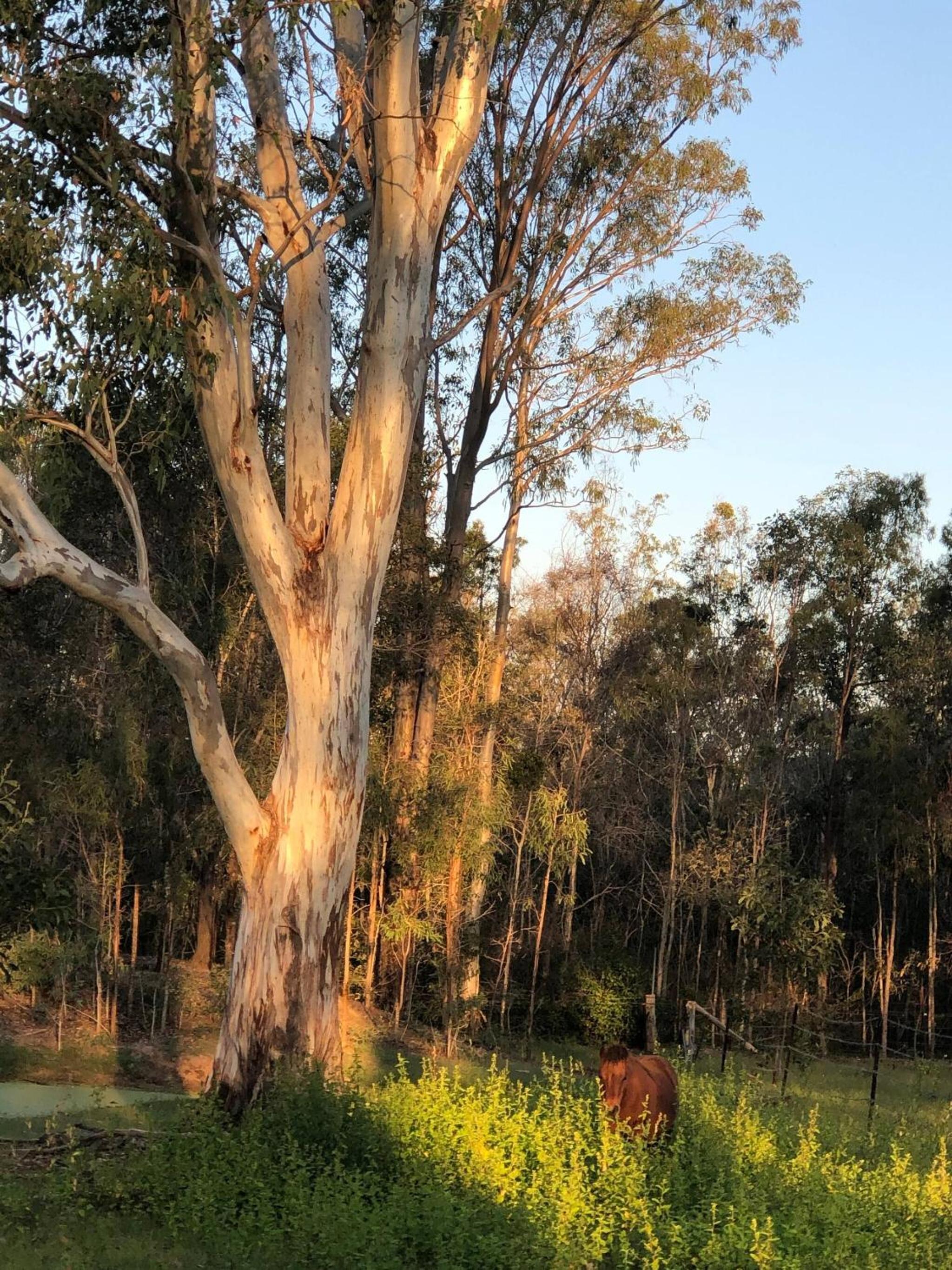Seehorse Meadows, a Farm Stay in Churchable