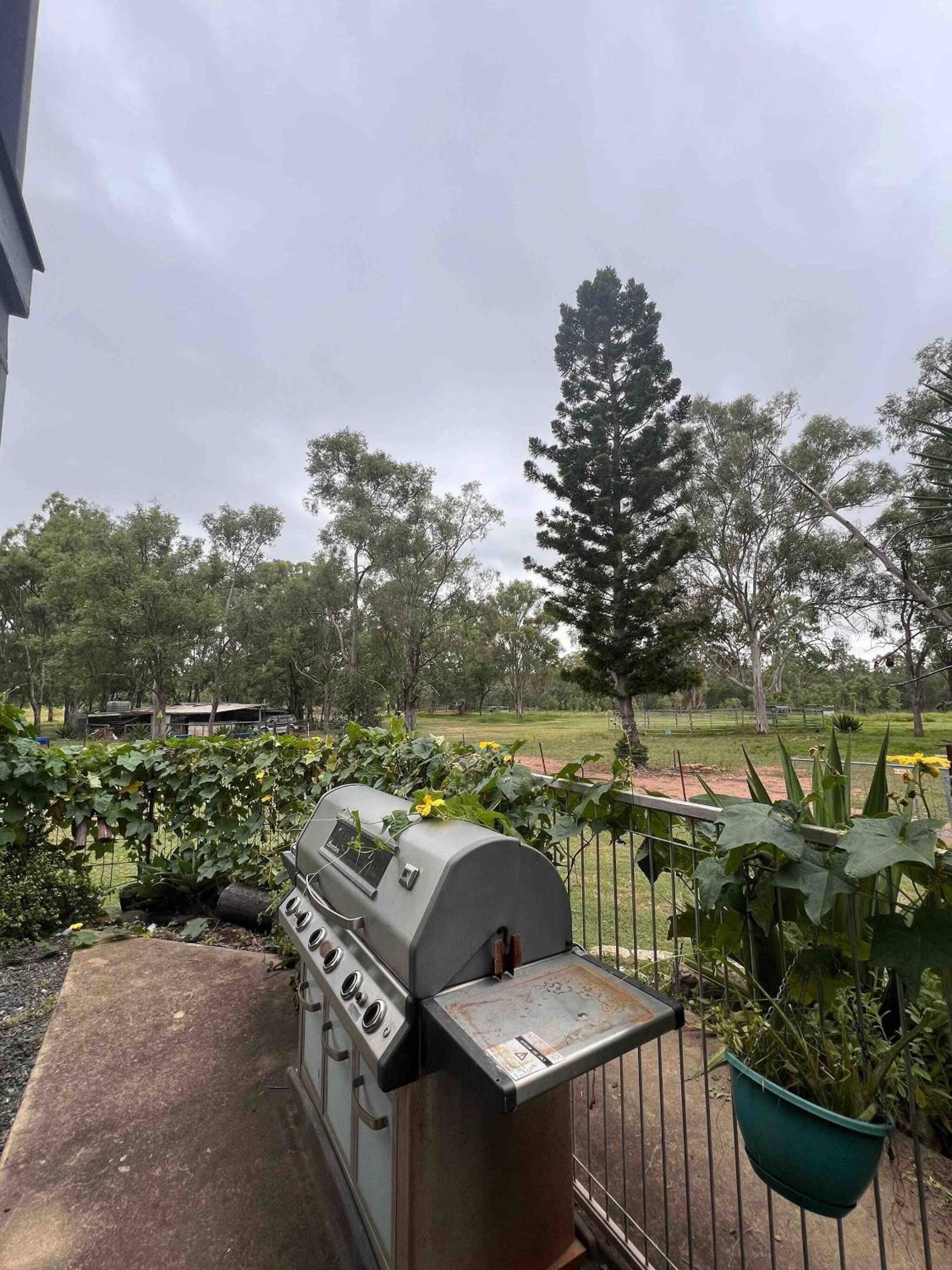 Seehorse Meadows, a Farm Stay in Churchable