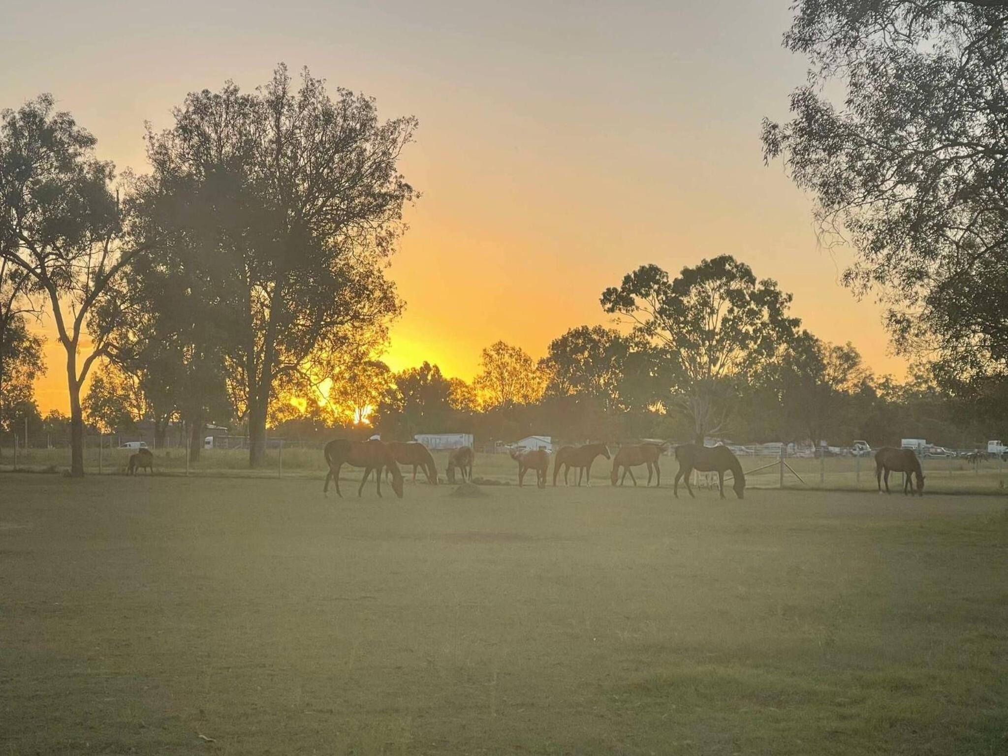 Seehorse Meadows, a Farm Stay in Churchable