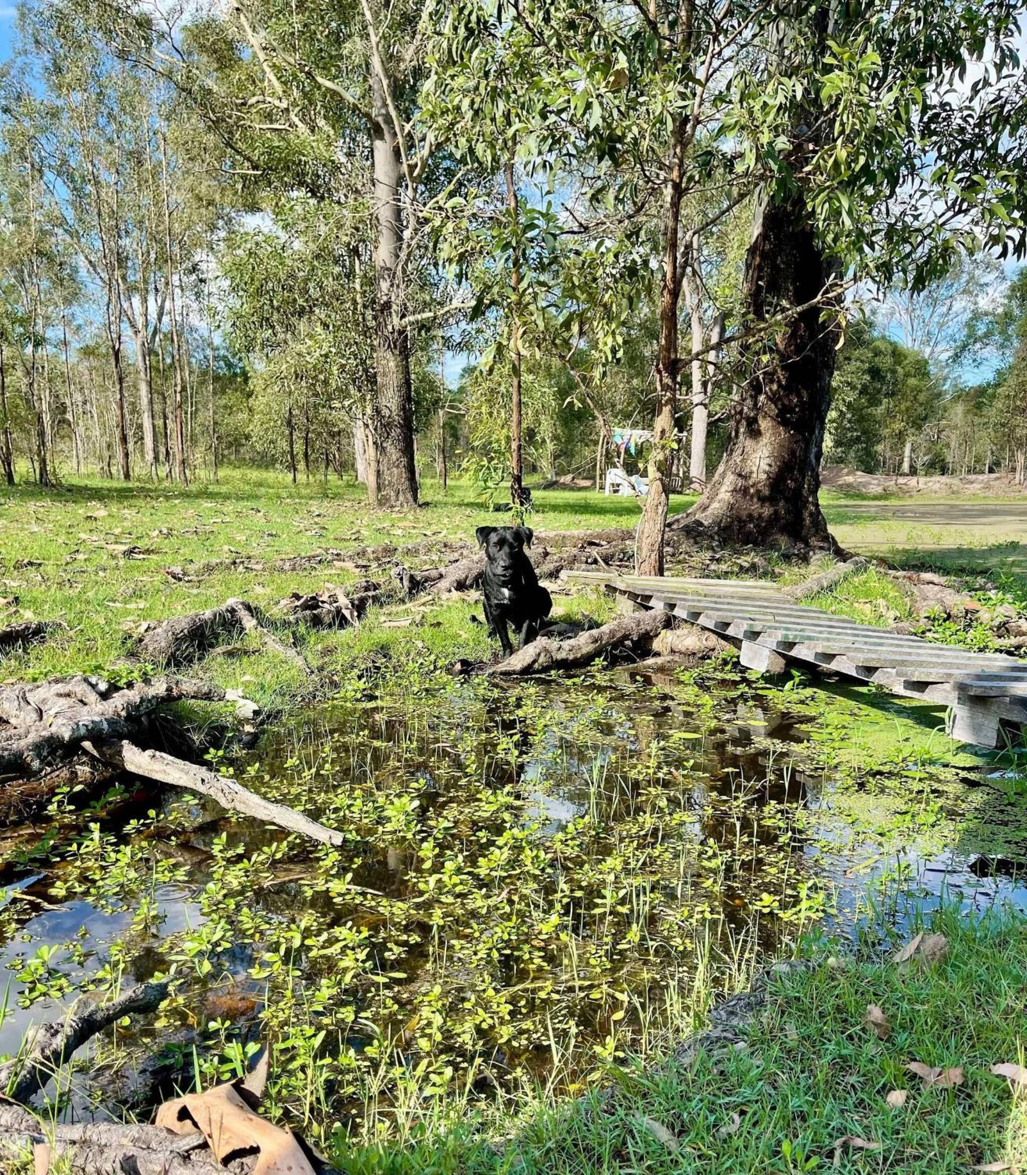 Seehorse Meadows, a Farm Stay in Churchable
