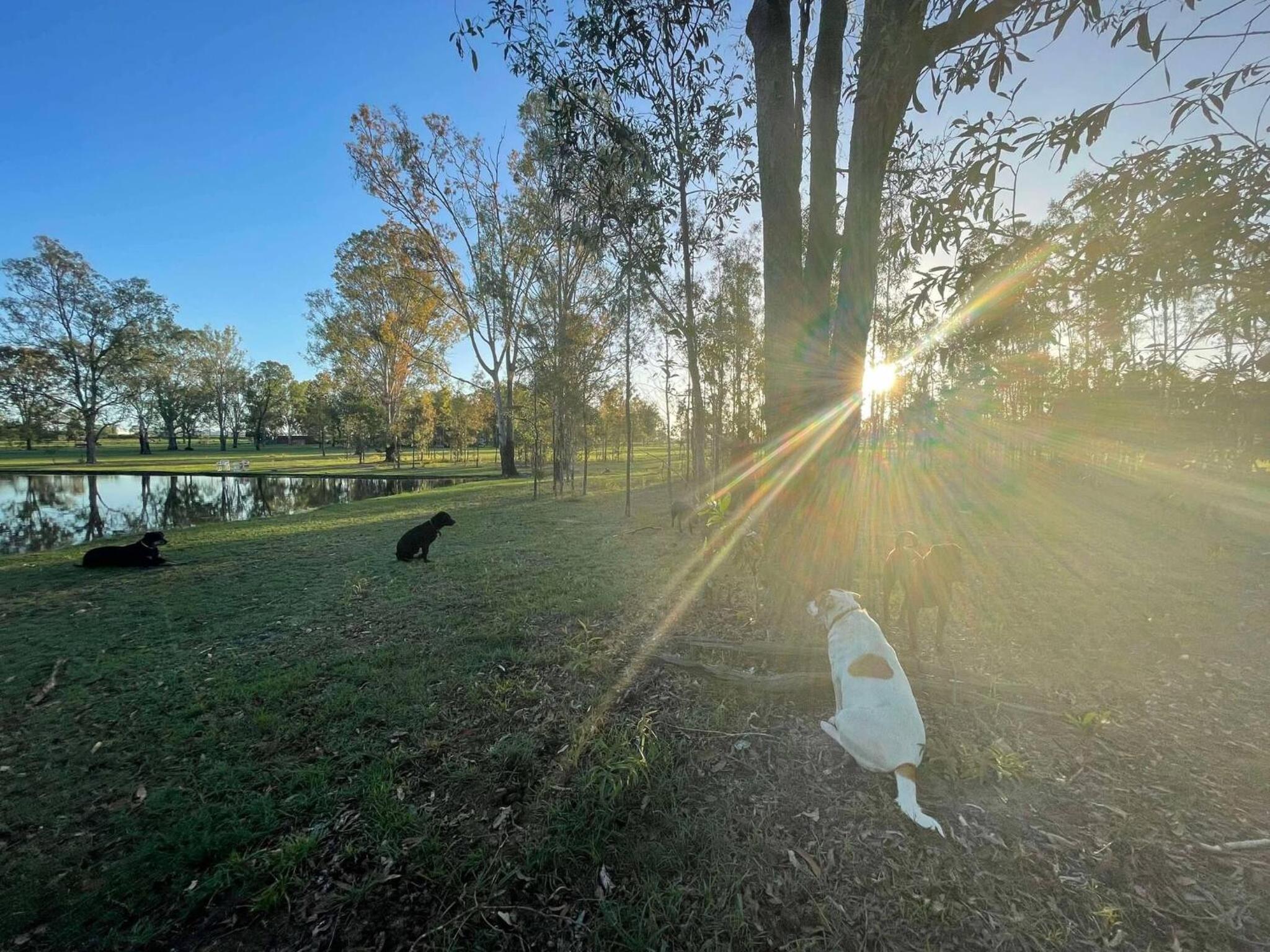 Seehorse Meadows, a Farm Stay in Churchable