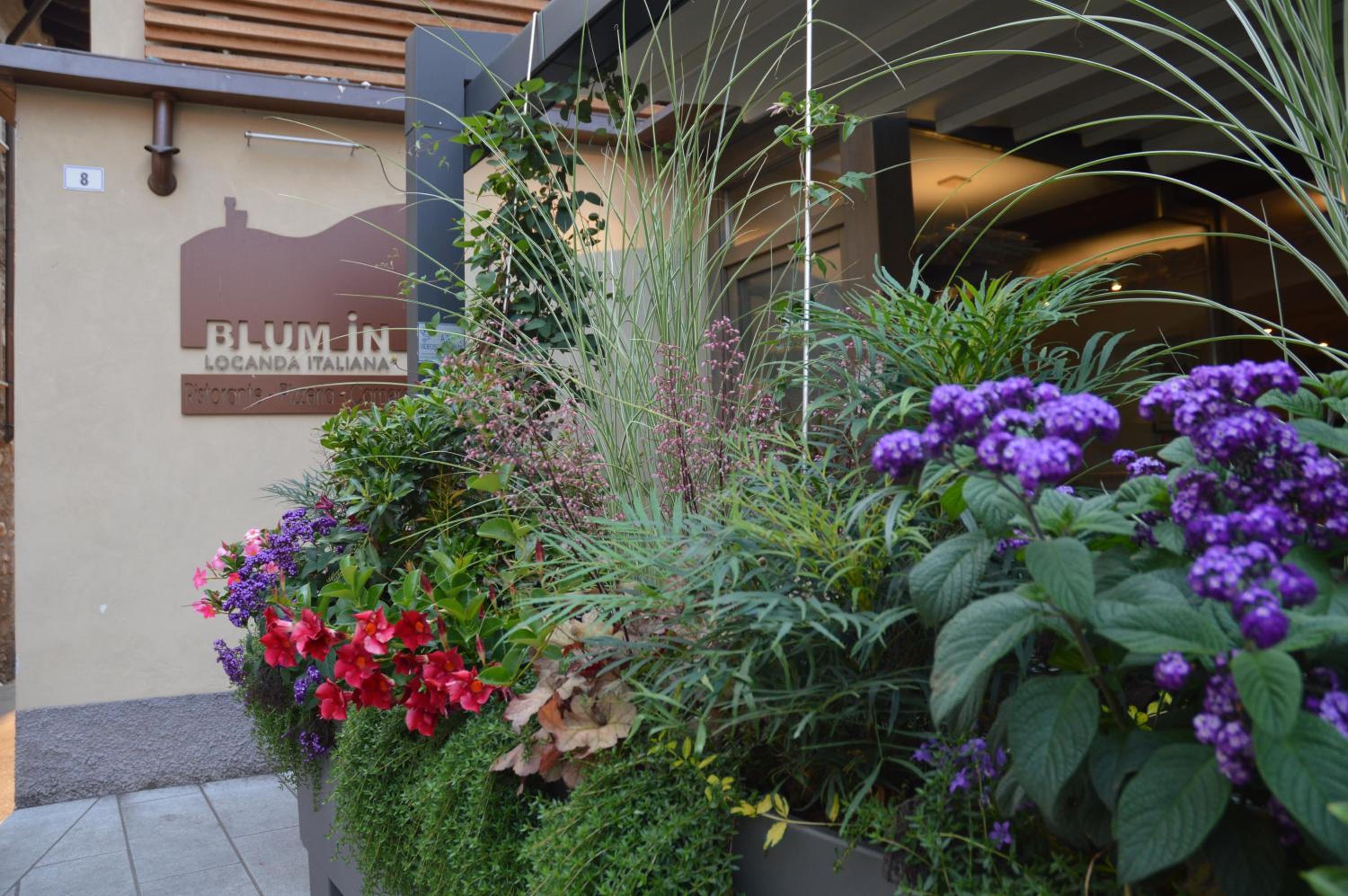 Locanda Blum In
