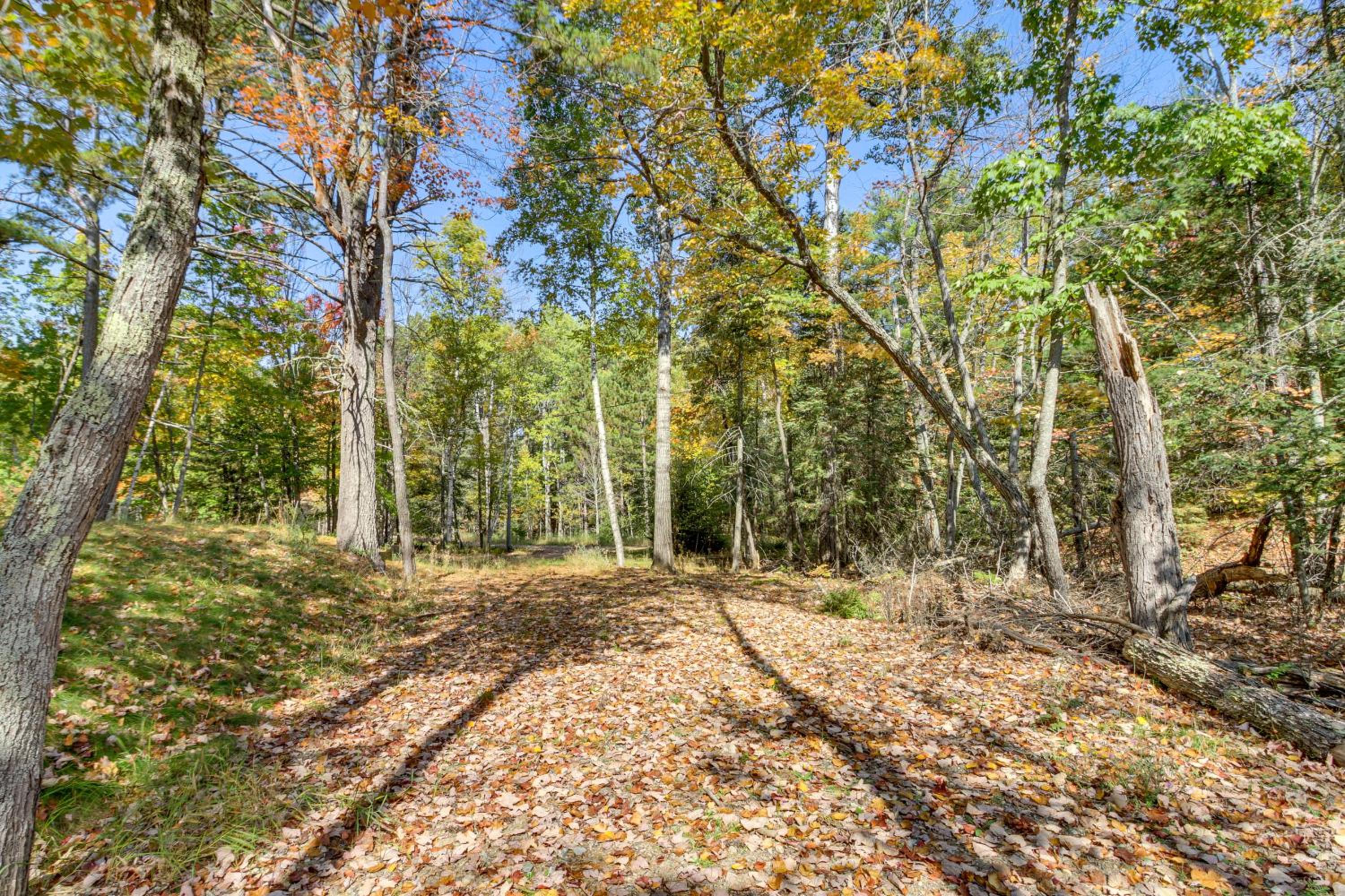 Less Than 1 Mi to Trails Wooded Home on Eagles Nest Lake!
