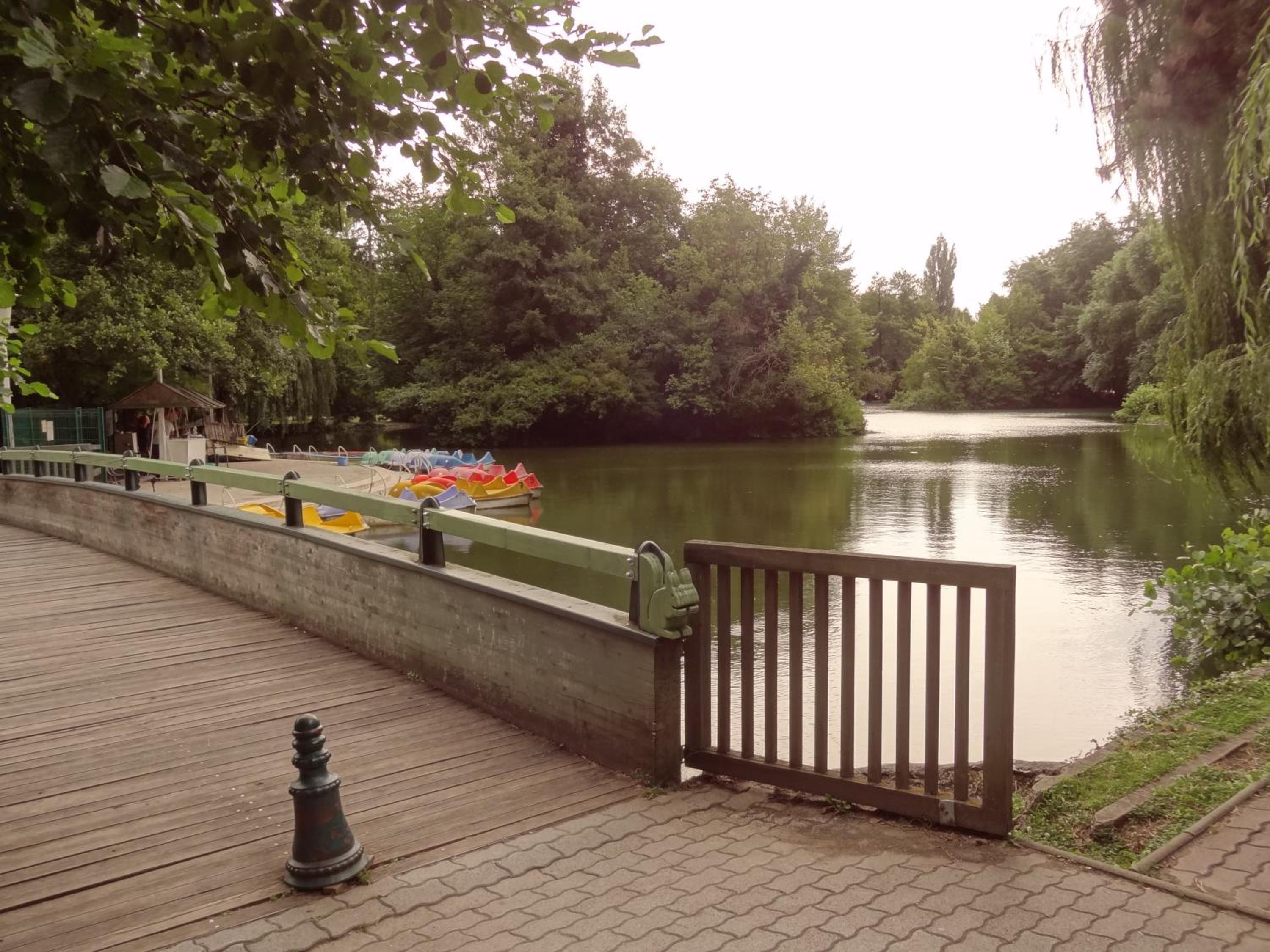 Photo 41