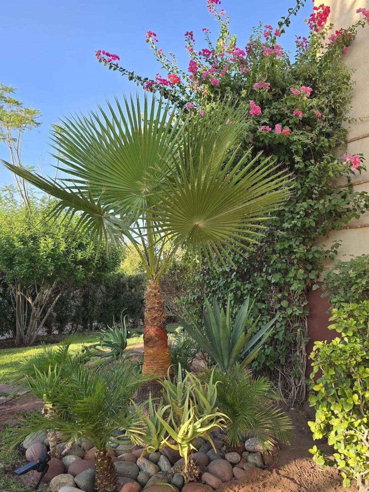 Villa AIMA - avec Gourvernante
