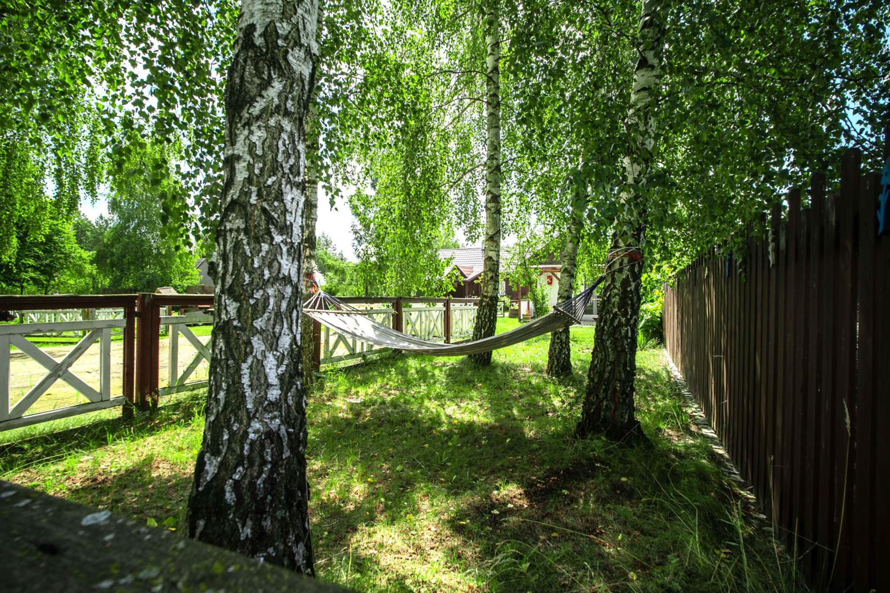 Photo 33