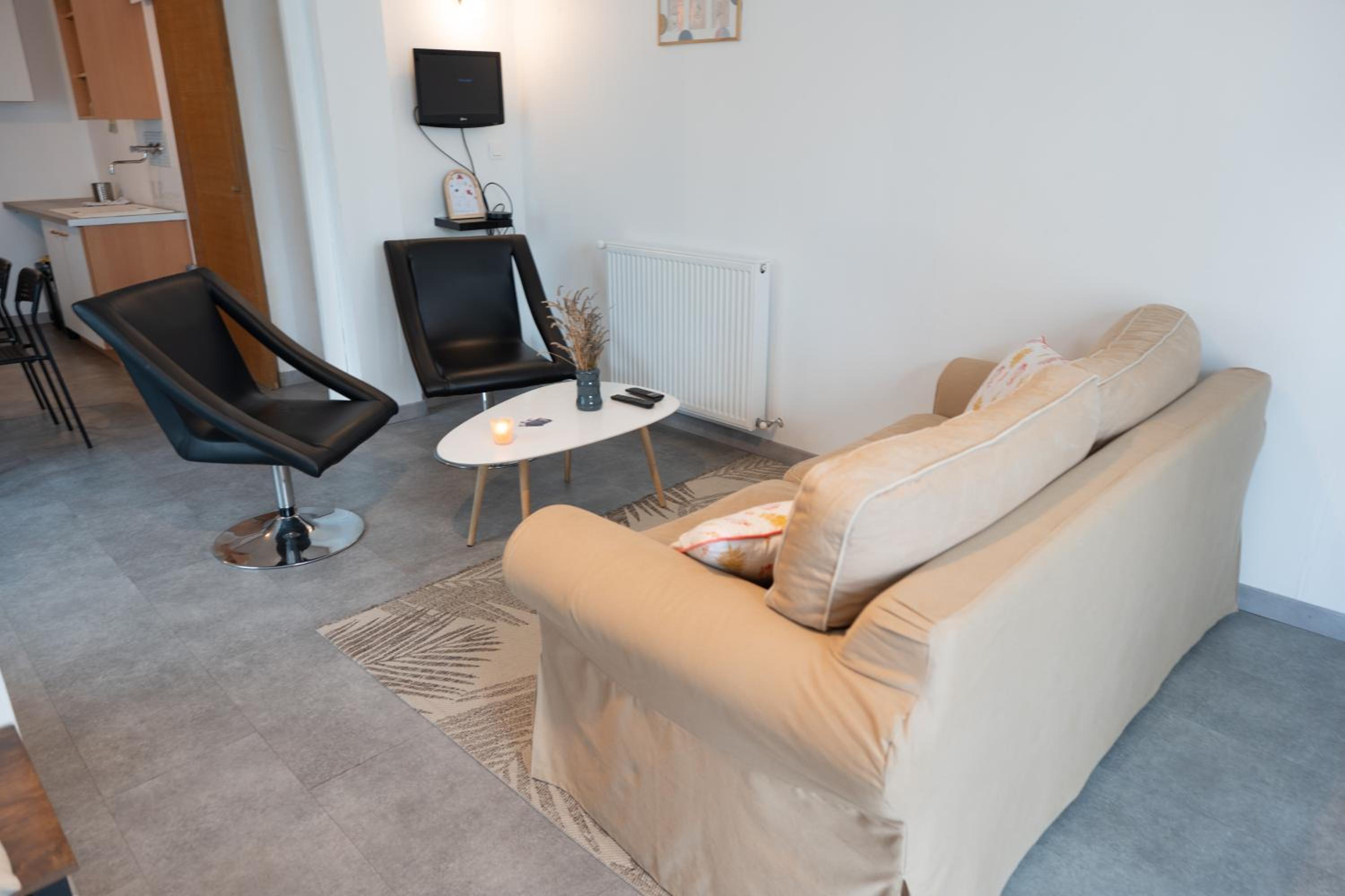 Le grand appartement, parking privé