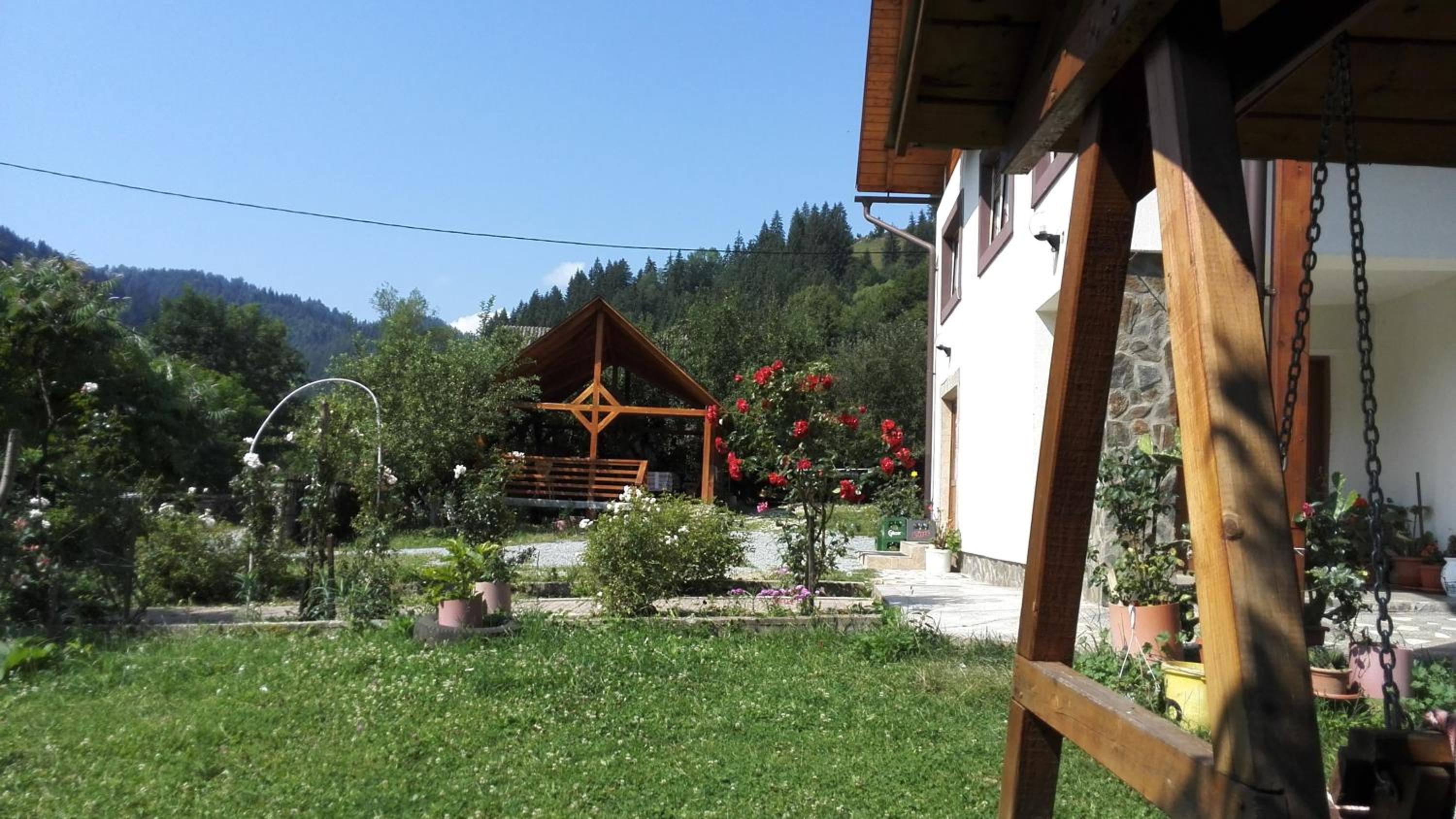 Pensiunea Piatra Mandrutului view 2