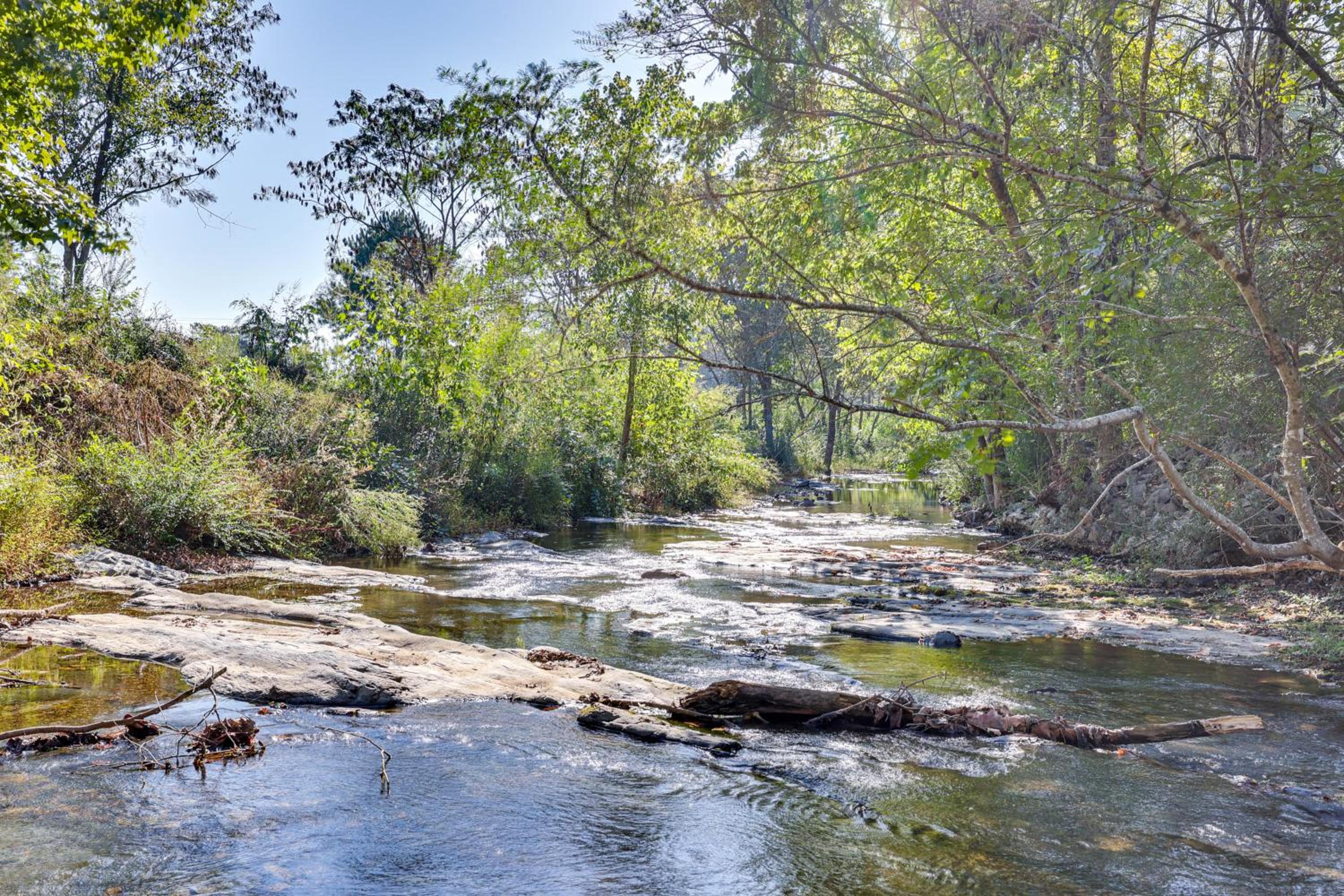 On-Site Creek and Spacious Yard Family Gem in Royal