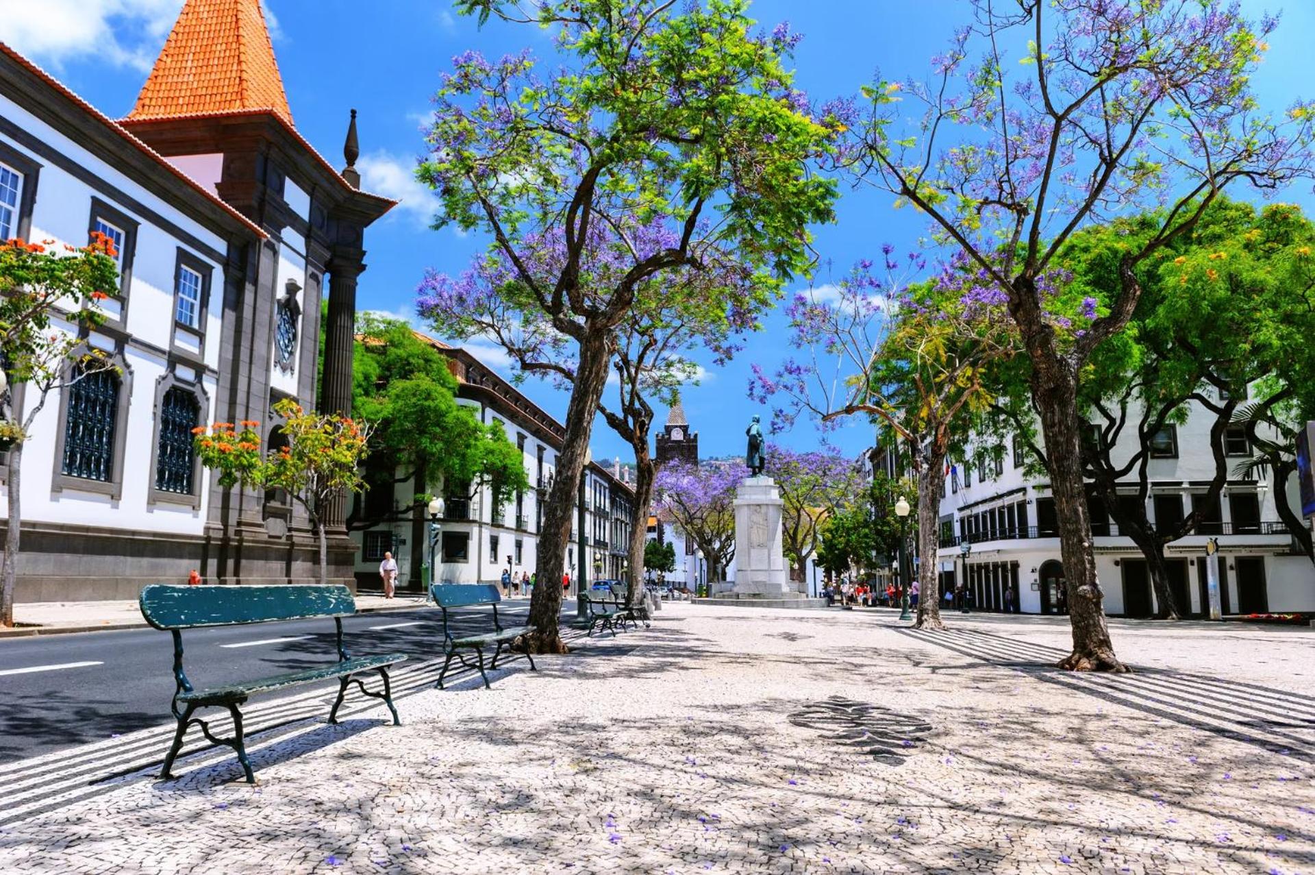 Casa Josephine by Holiday Rental Madeira