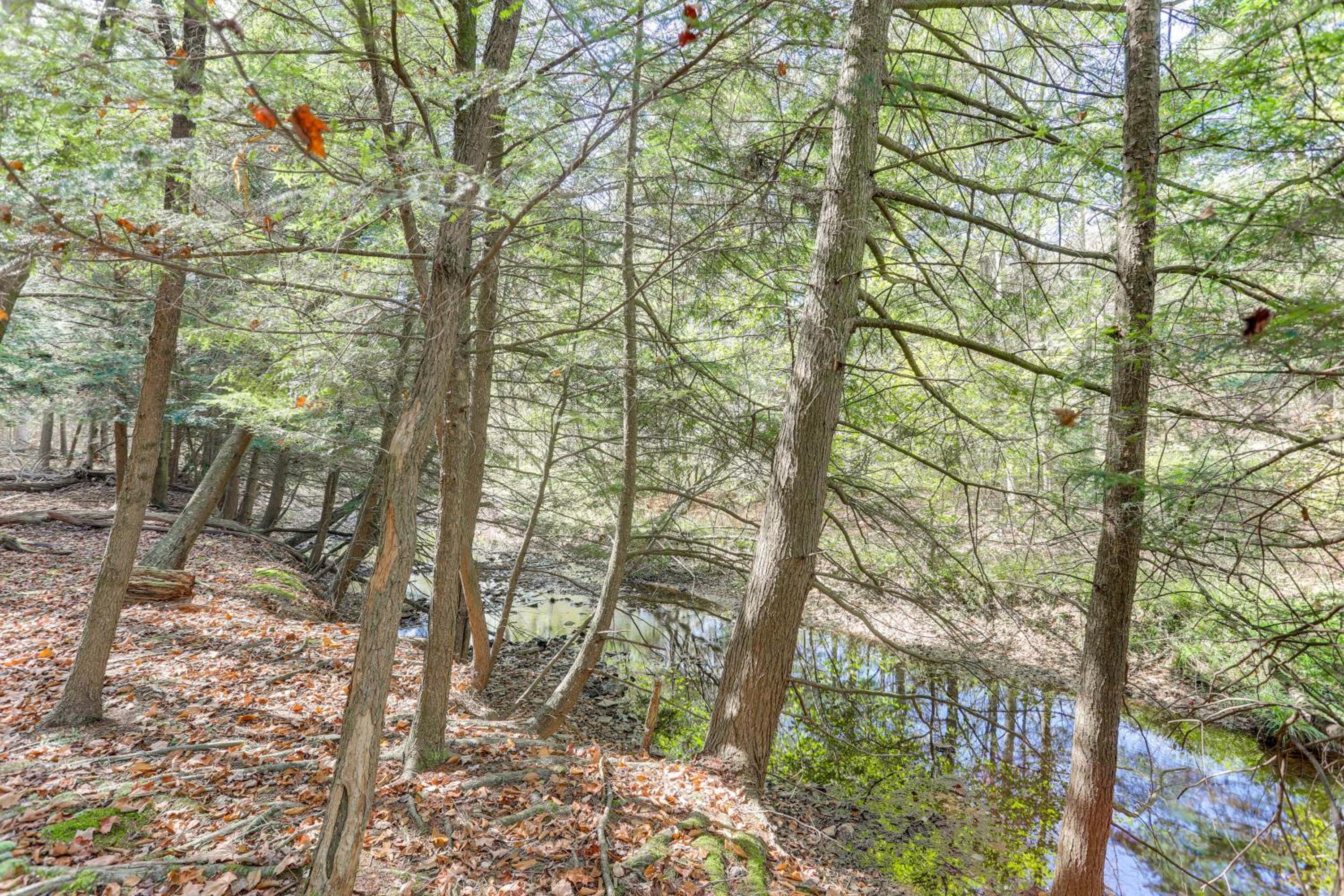 8 Private Acres Little Mahoning Creek Cabin!