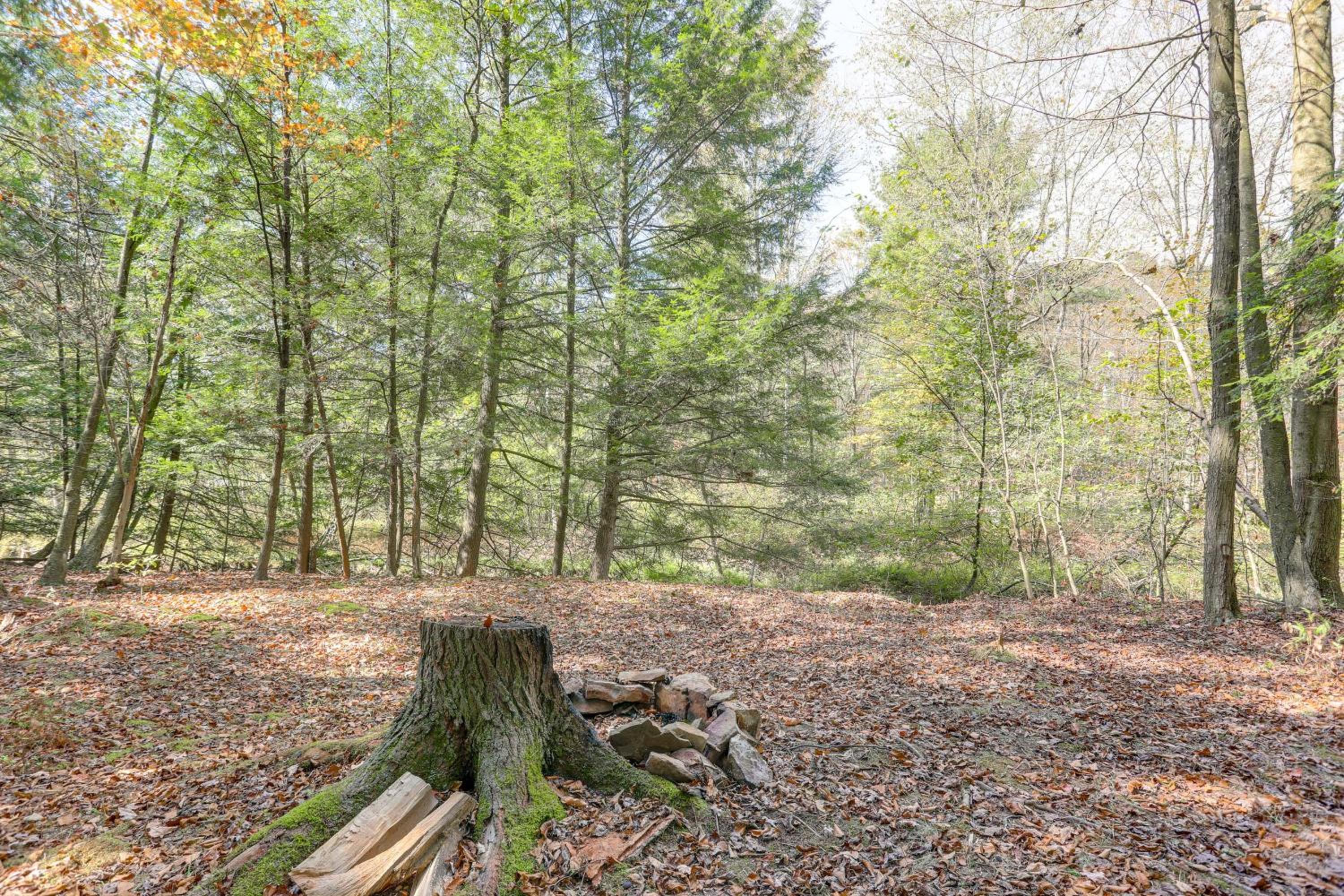 8 Private Acres Little Mahoning Creek Cabin!