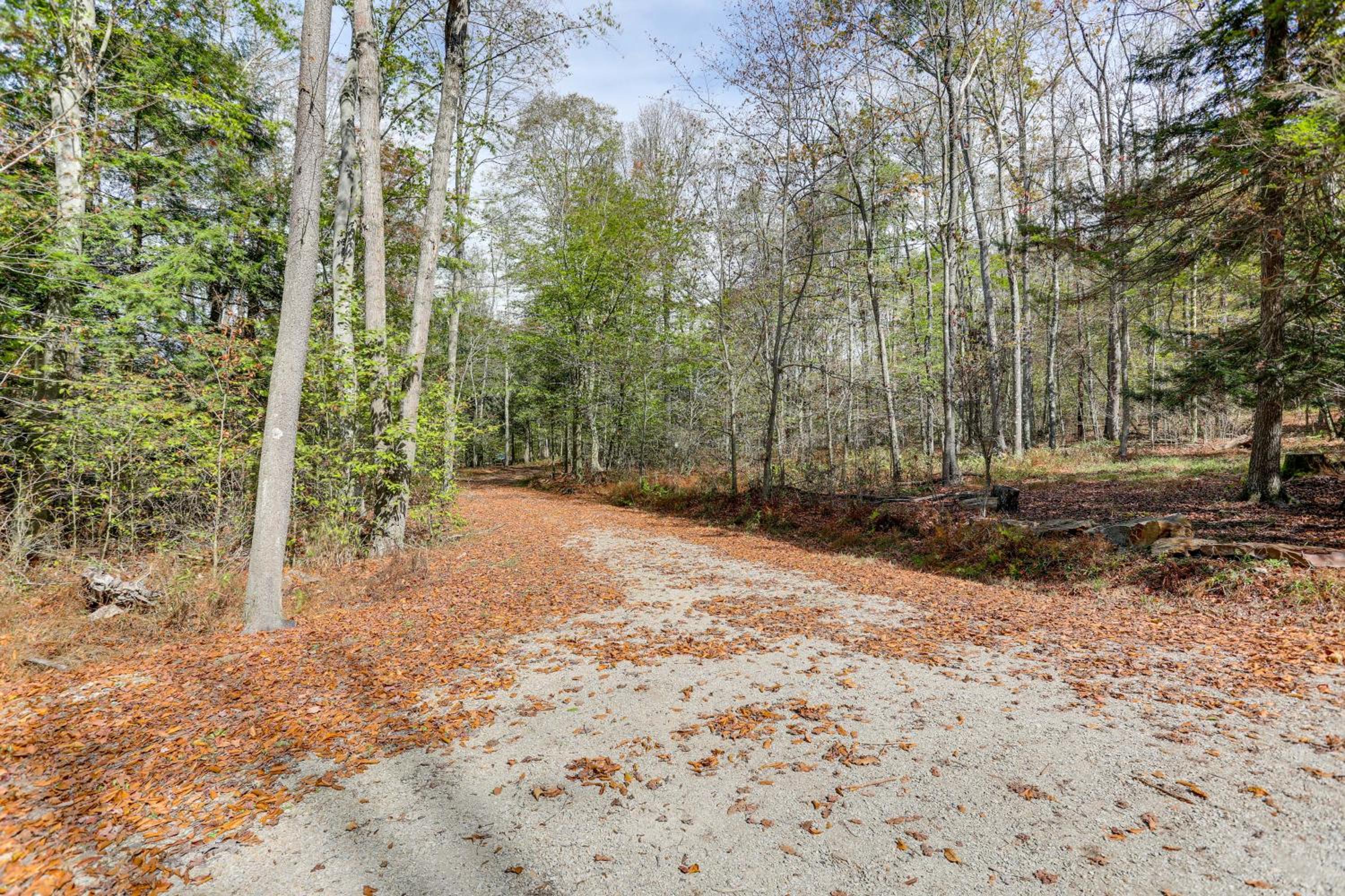 8 Private Acres Little Mahoning Creek Cabin!