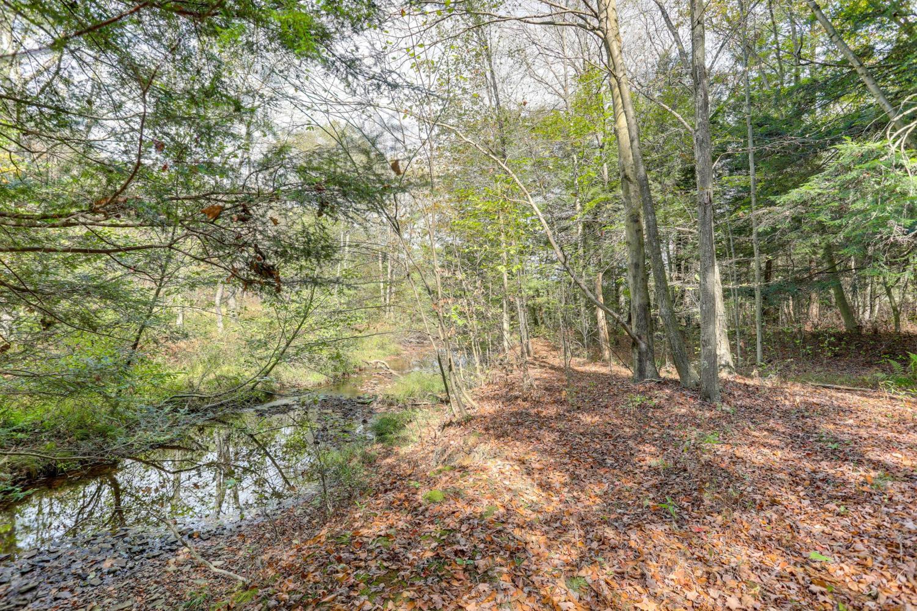 8 Private Acres Little Mahoning Creek Cabin!