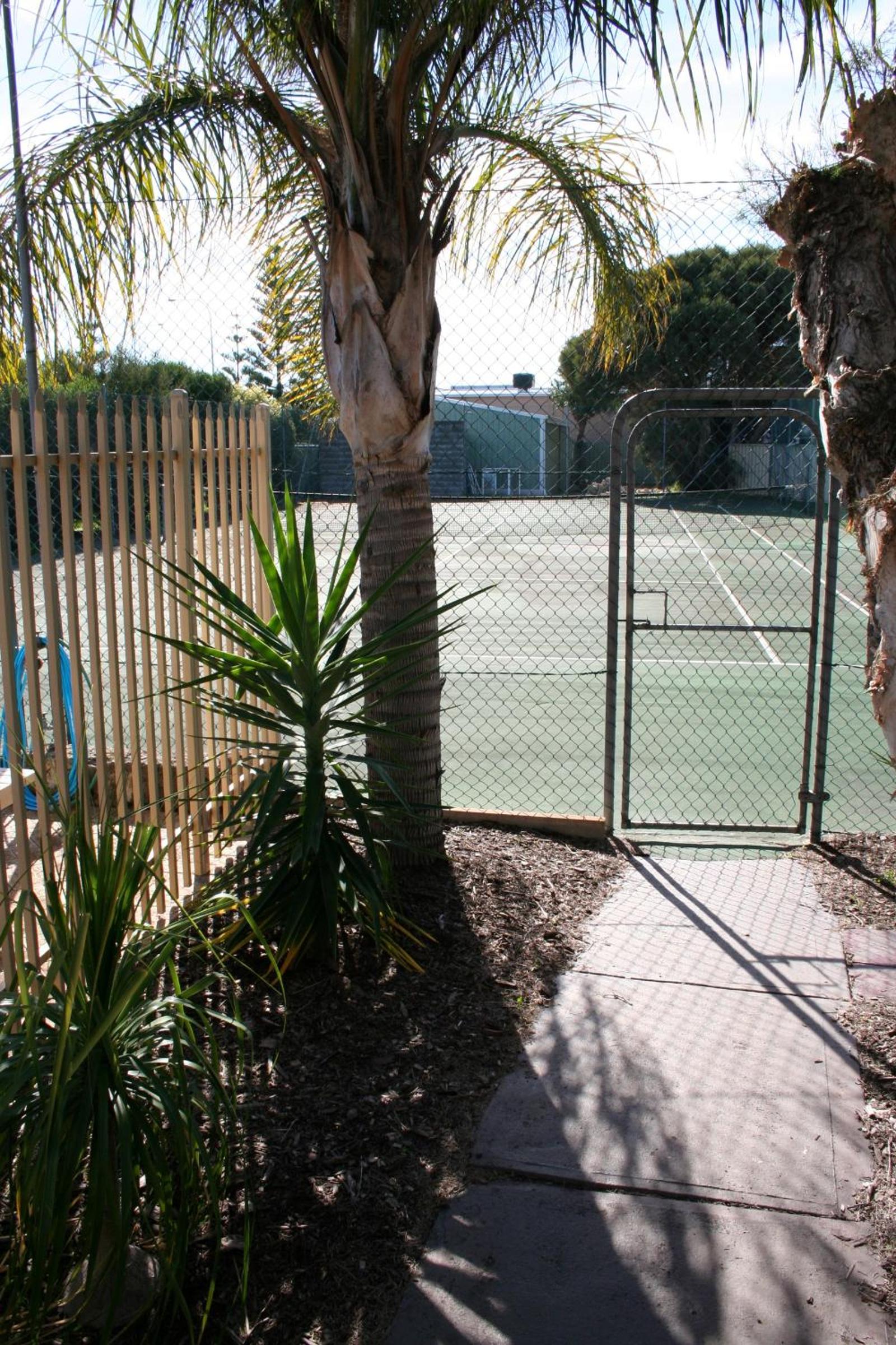 Photo 41