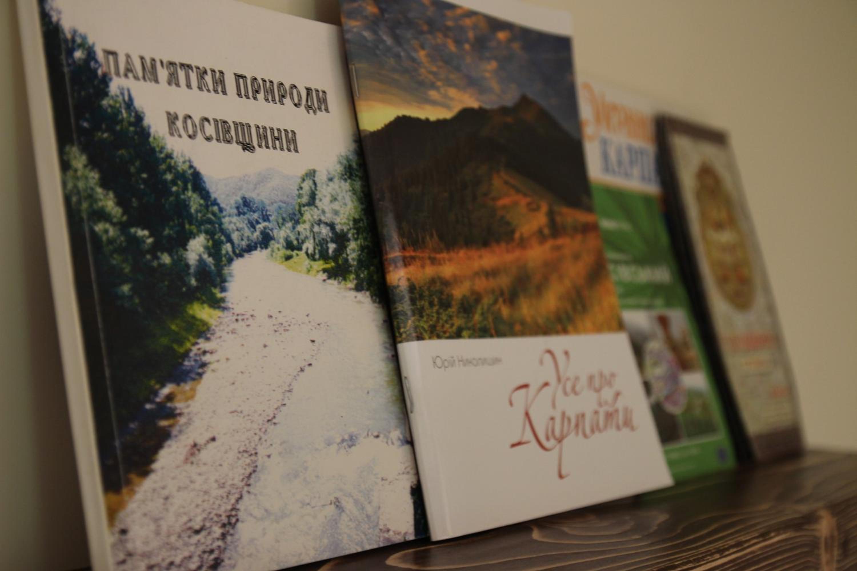 Country House Kosiv, photo 11