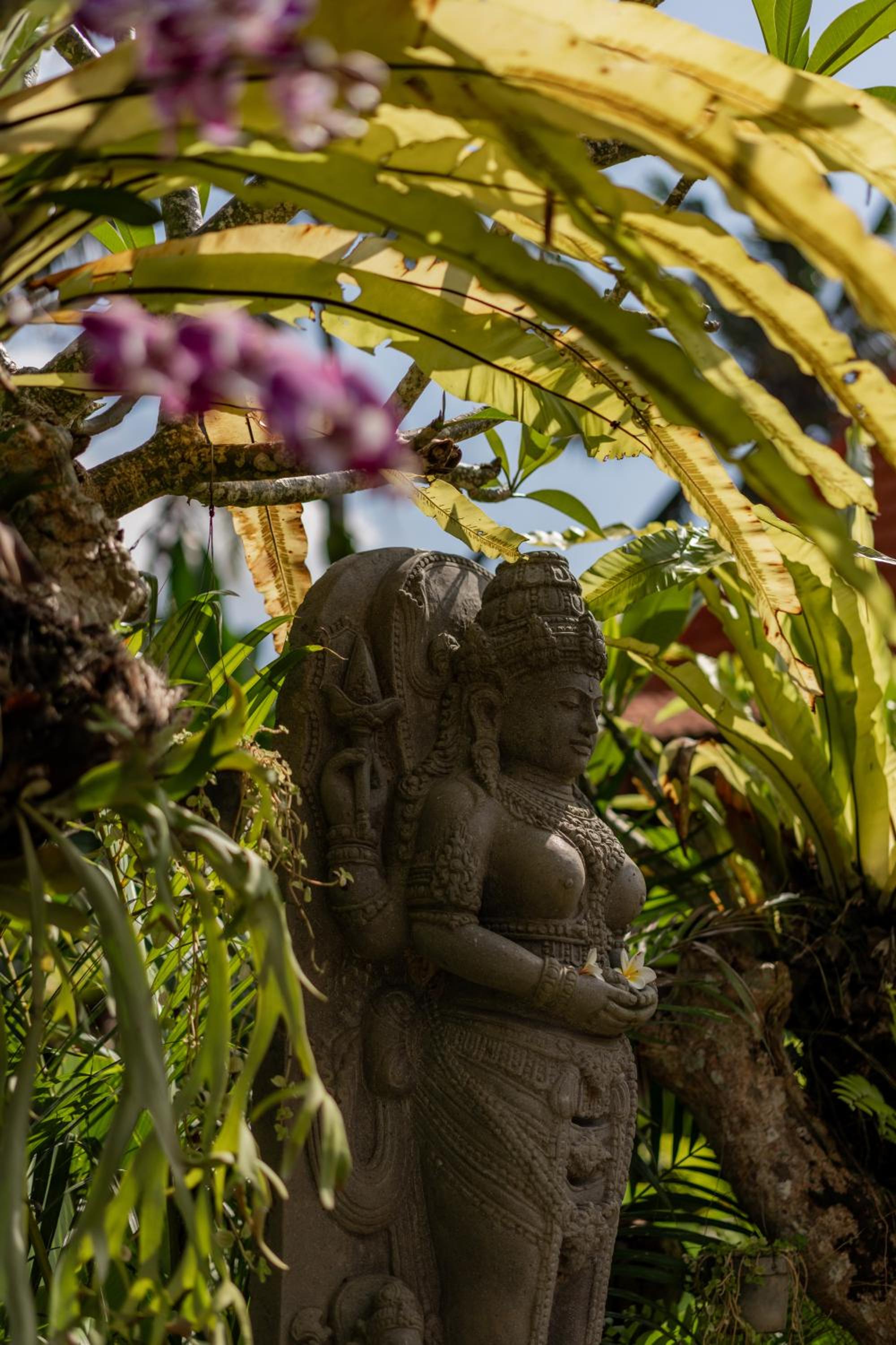 Sang Mong Ubud