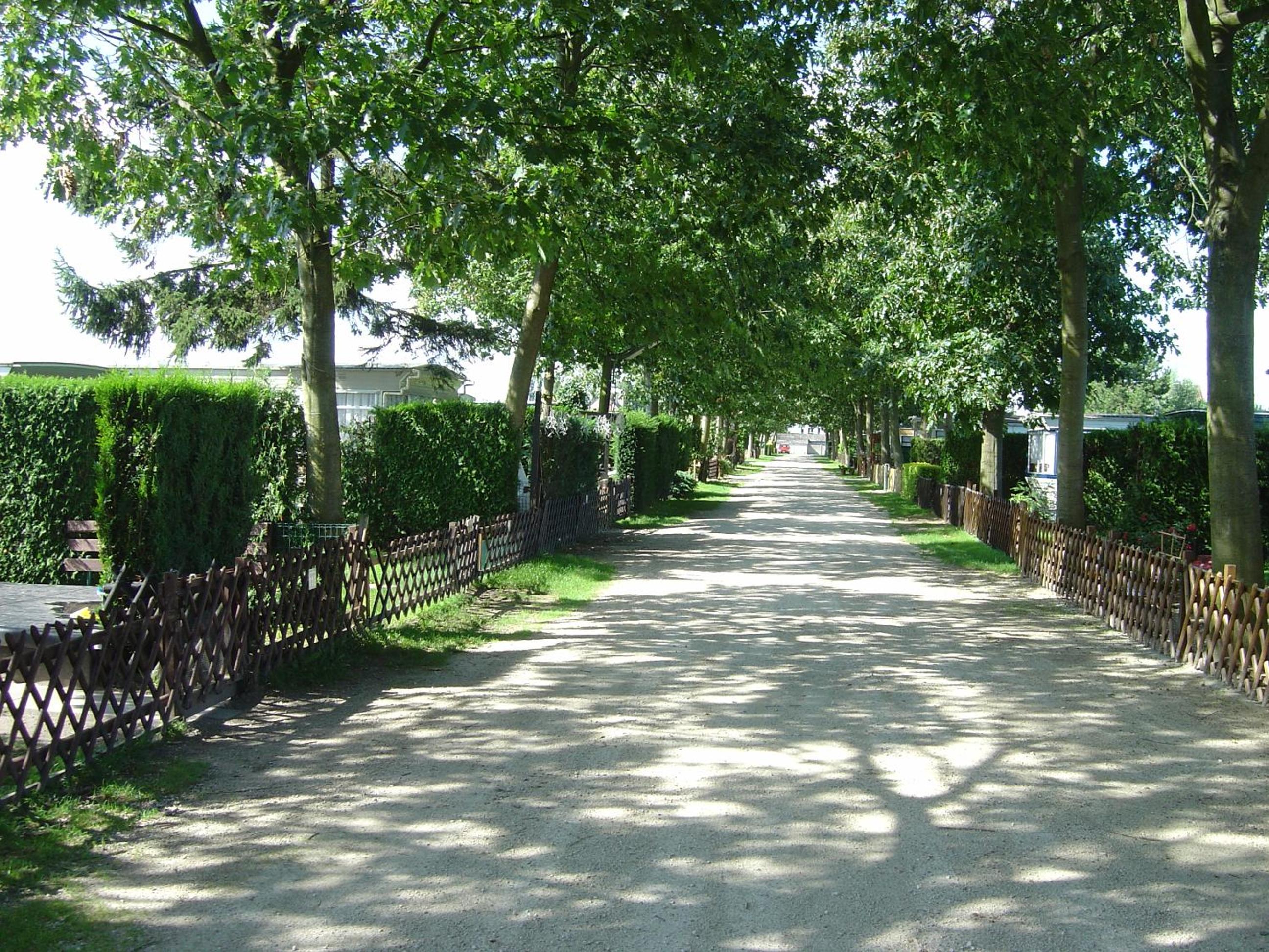 Lake Park view 4