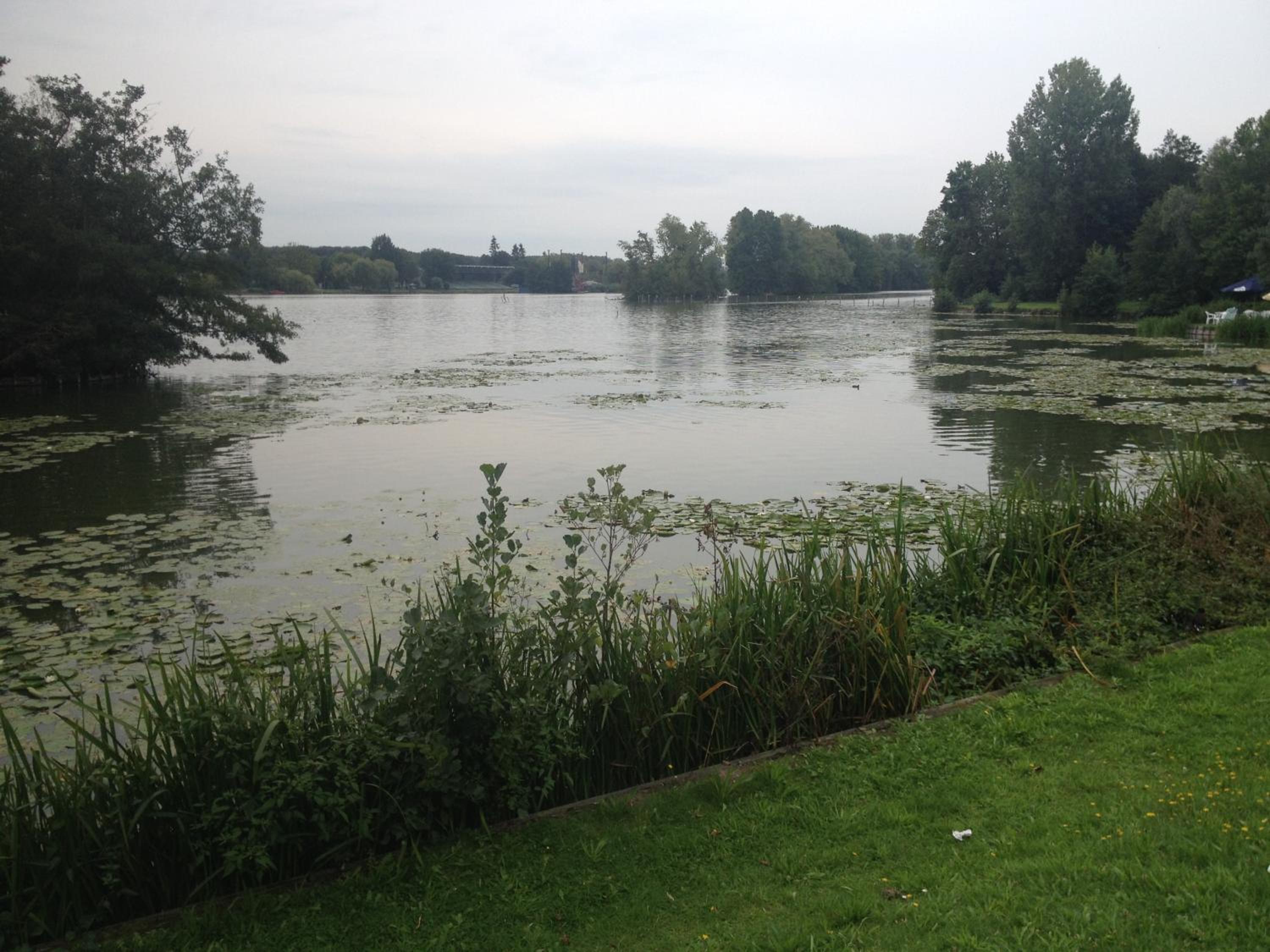 Photo 10
