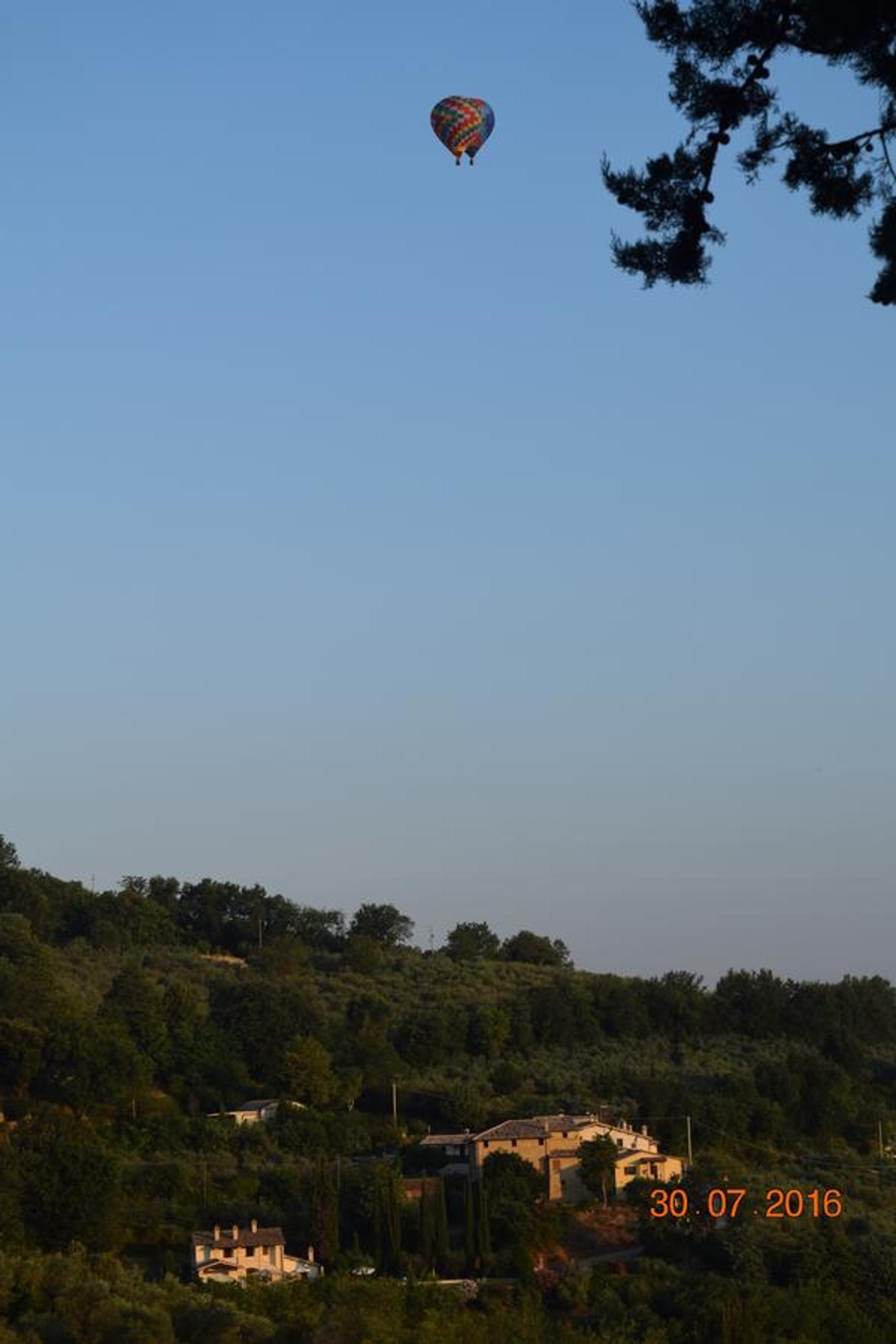 Photo 16