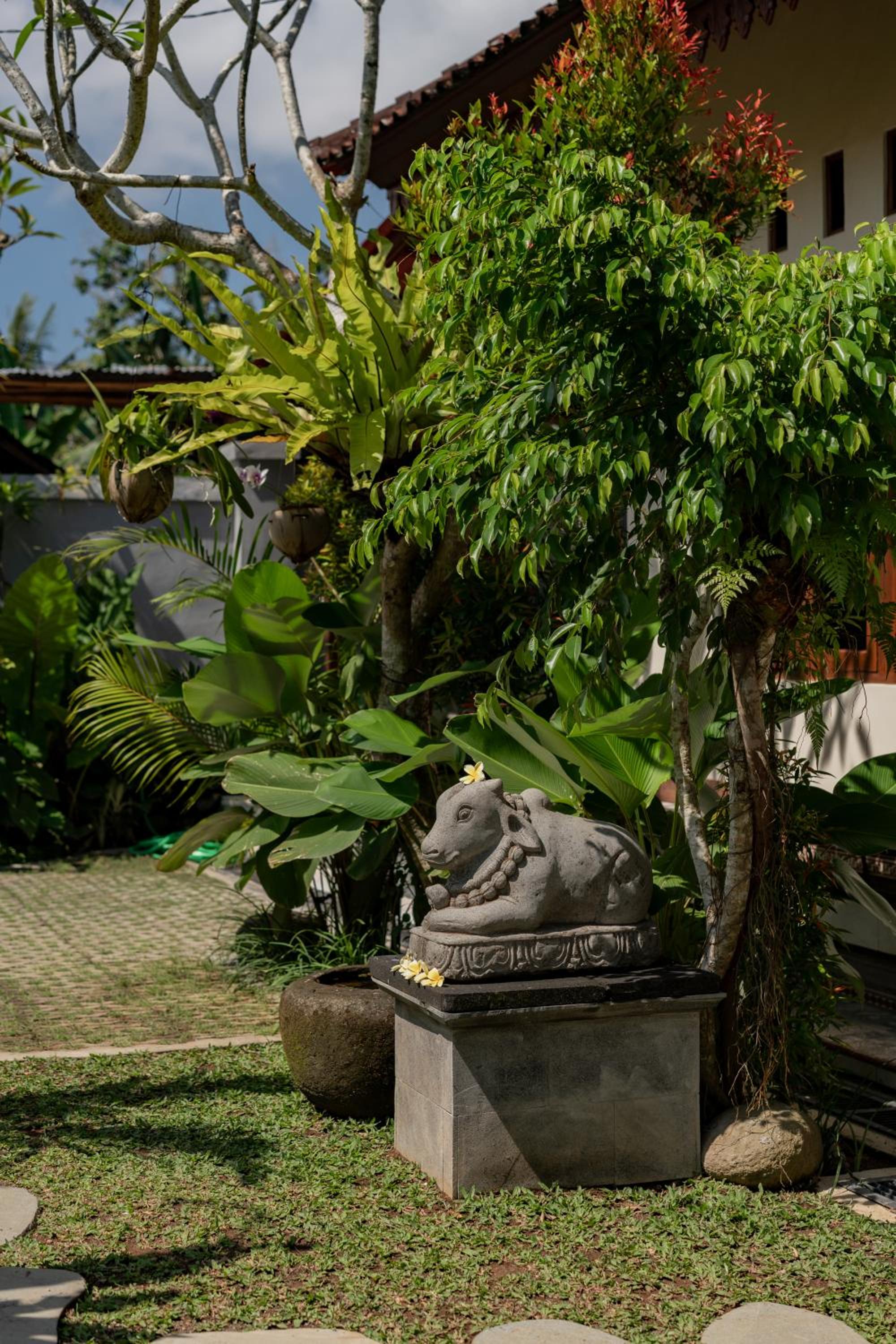 Sang Mong Ubud