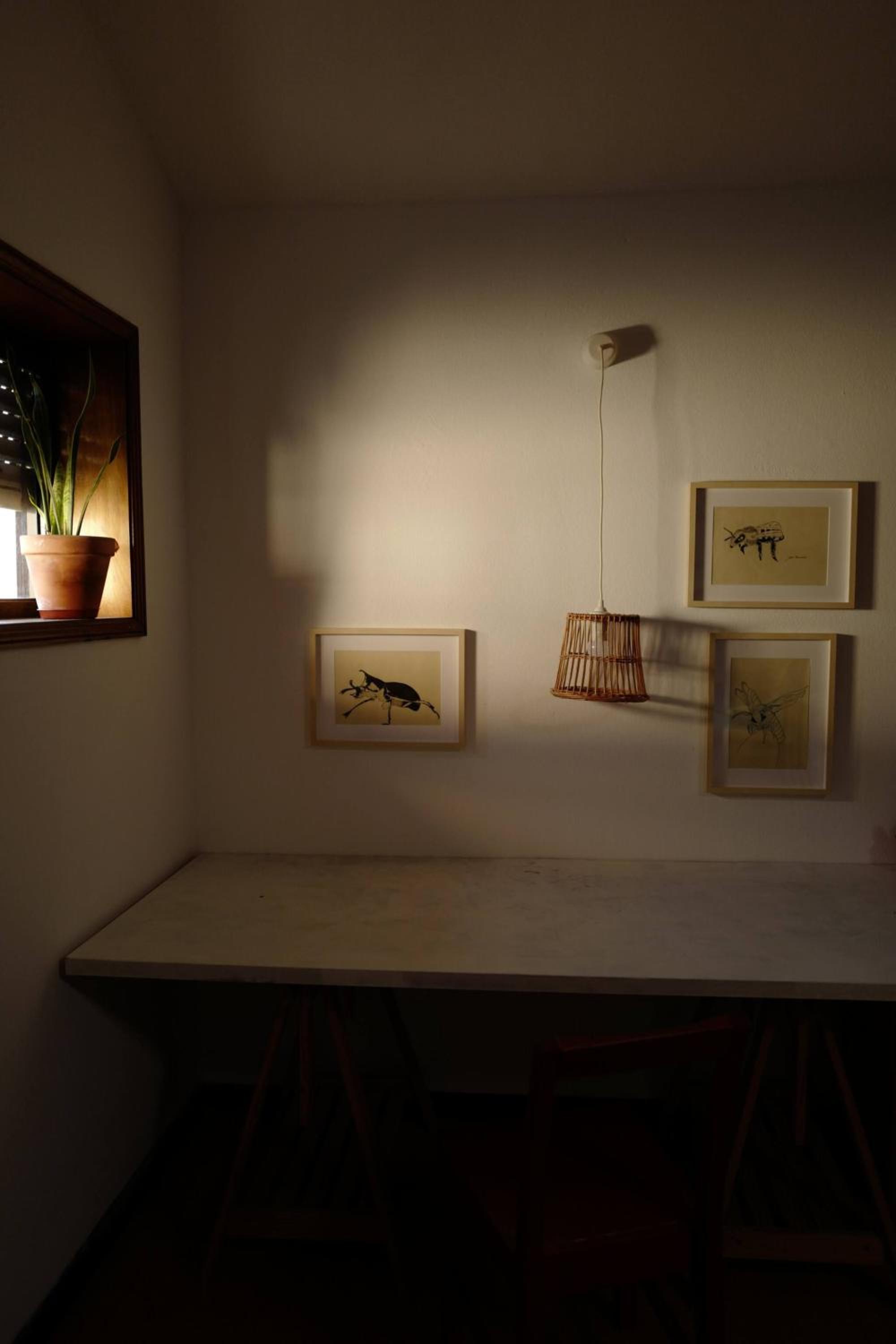 5 room house, next to golf course Quinta do fojo