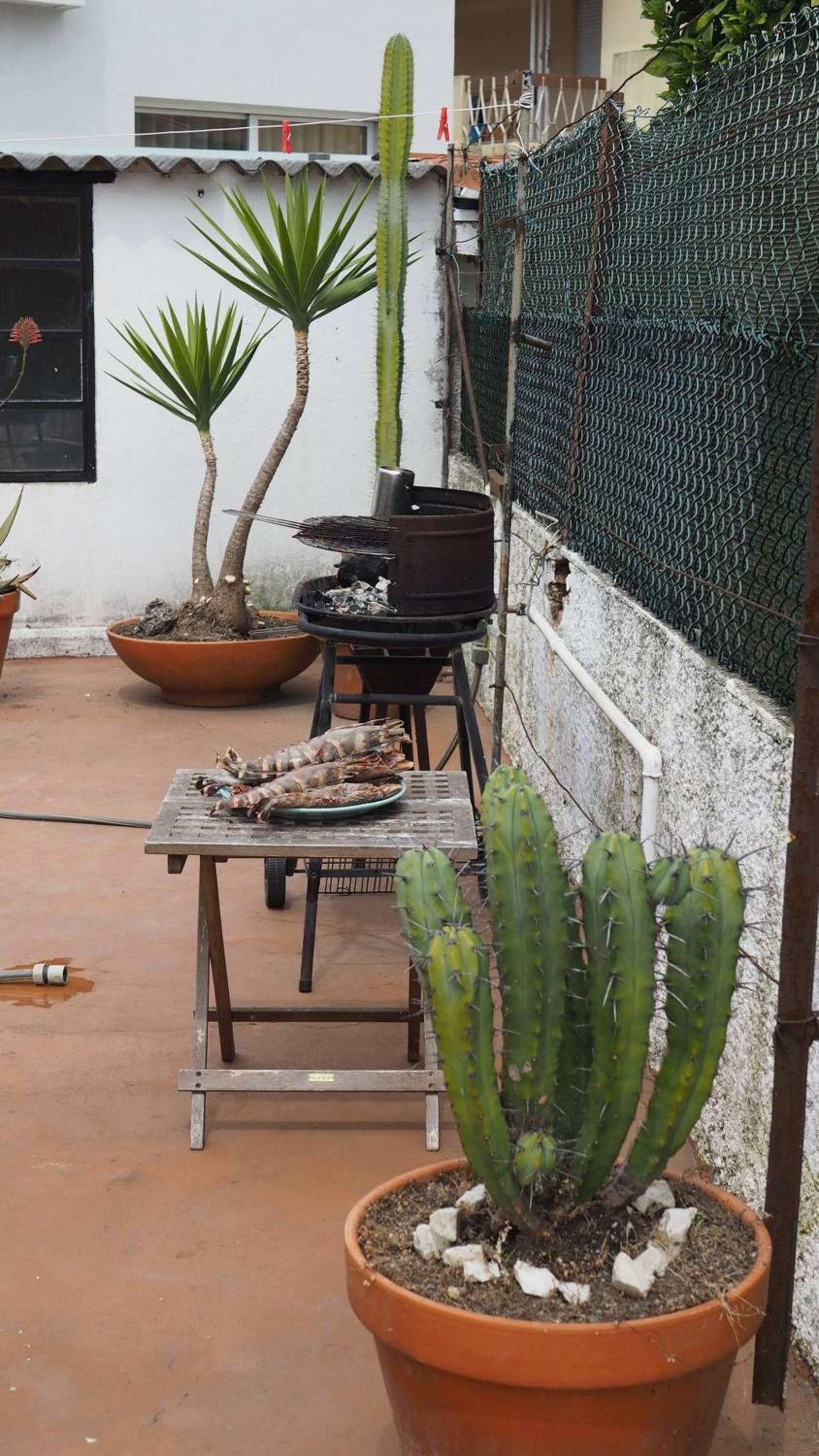 5 room house, next to golf course Quinta do fojo