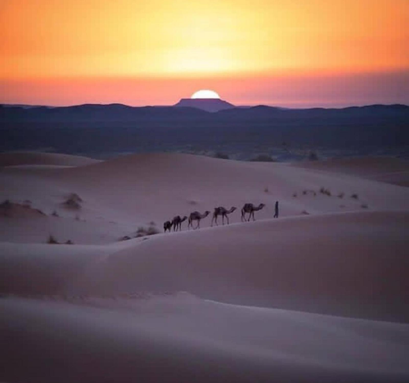 Desert Marhaba luxury Camp