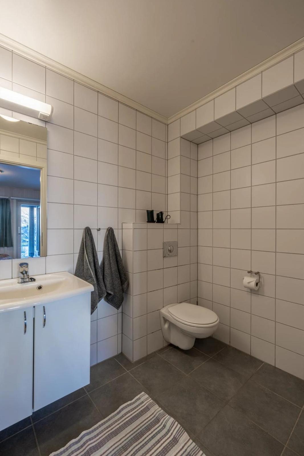 Large Ski in-Ski out Apartment for Groups