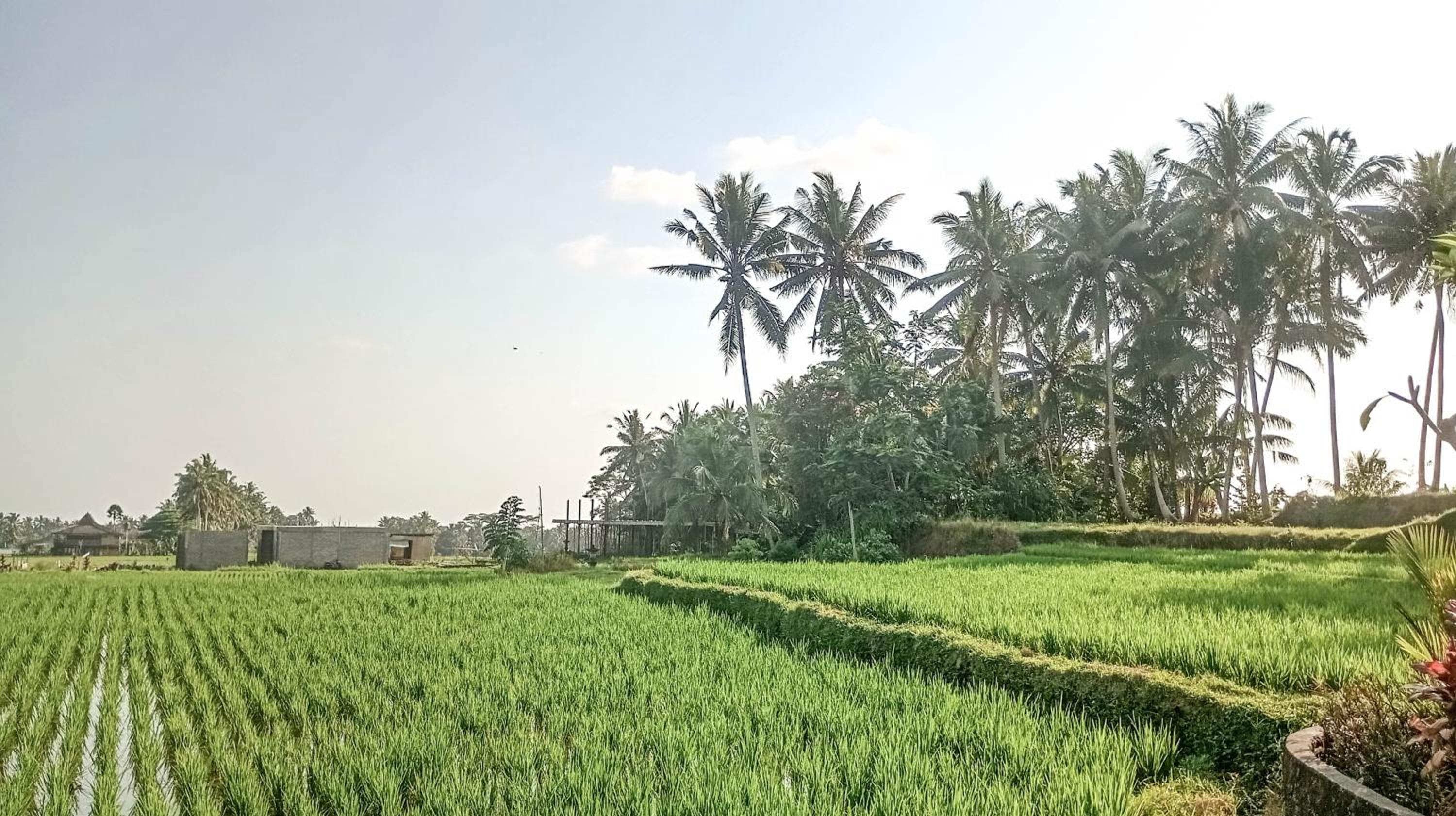Kubu Cinta Ubud