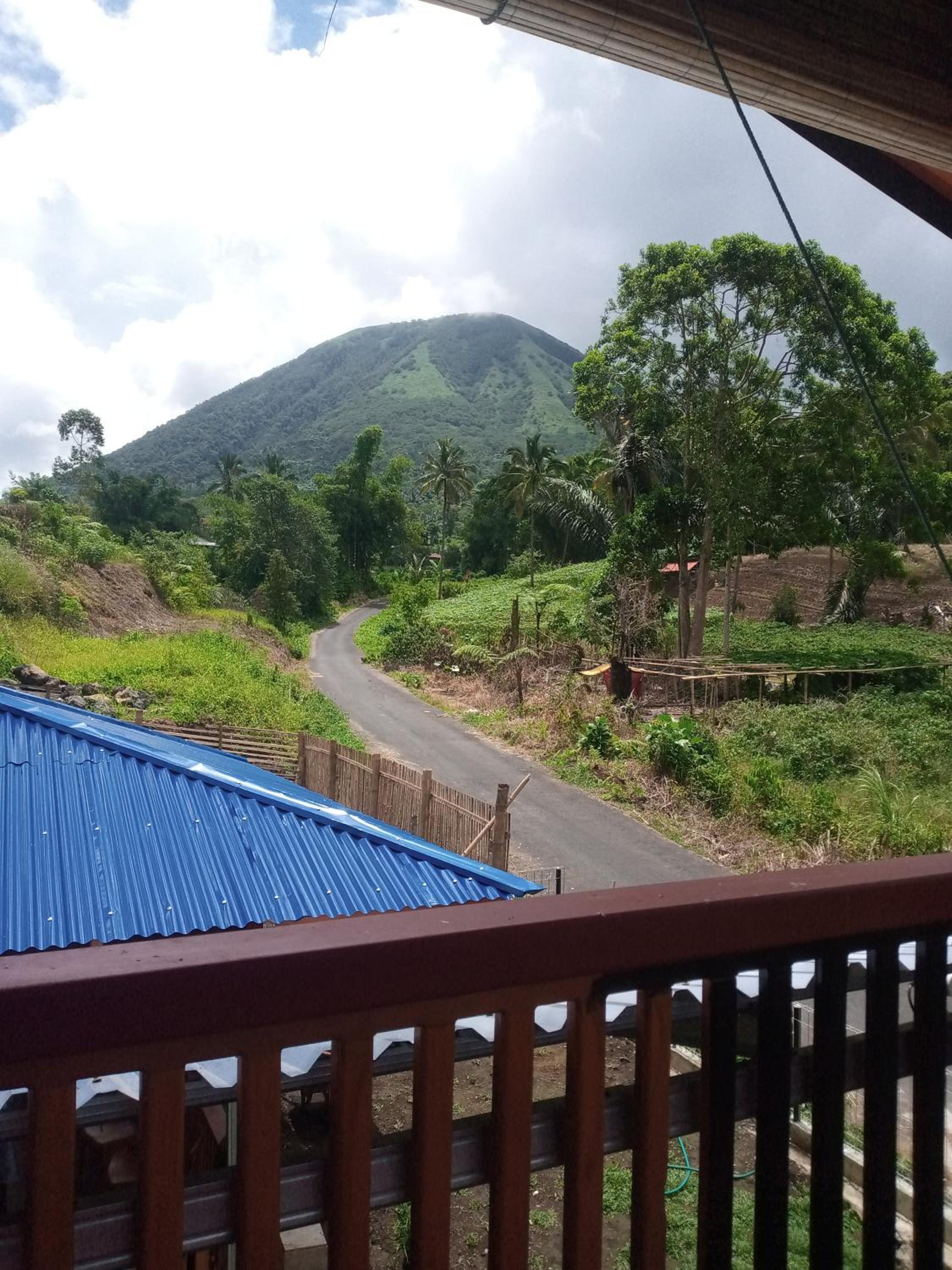 Homestay Alina
