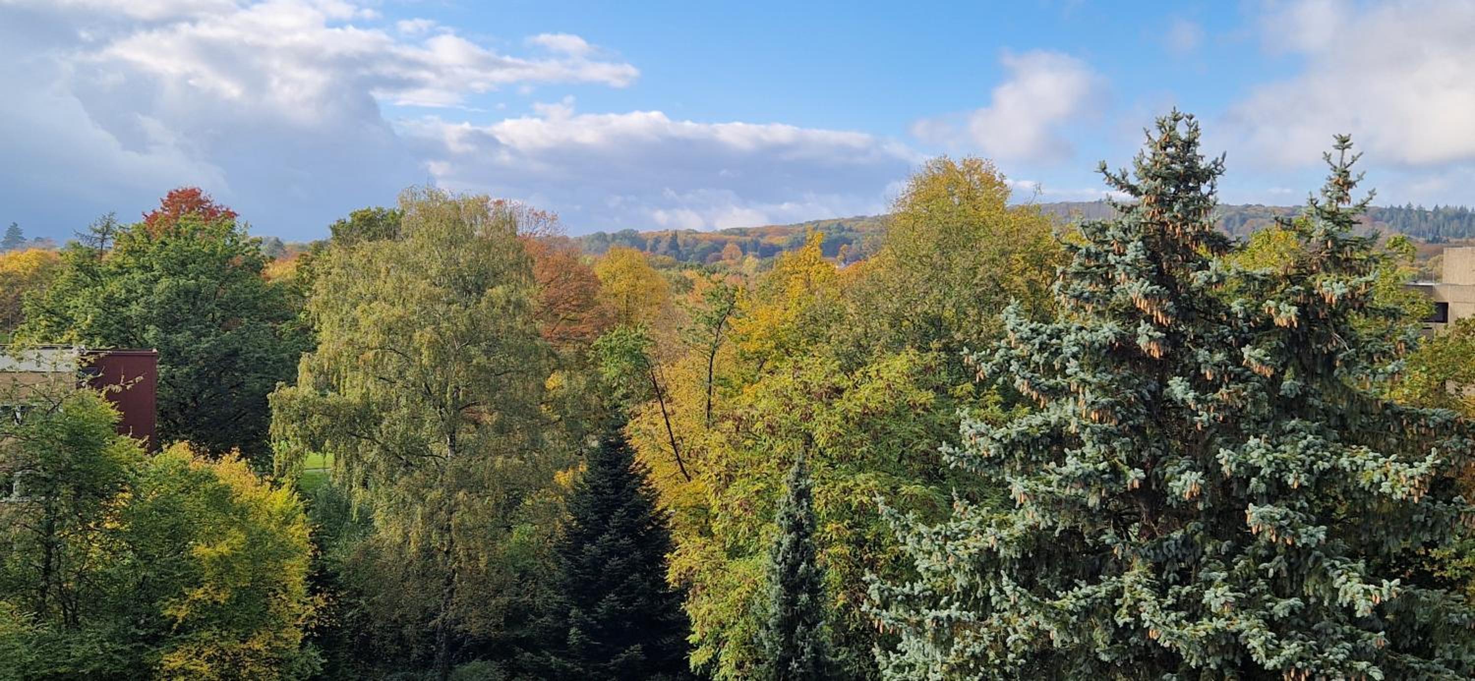 Luxuriöse Maisonette Wohnung mit Whirlpool und Weitblick im Kurviertel von Bad Salzuflen