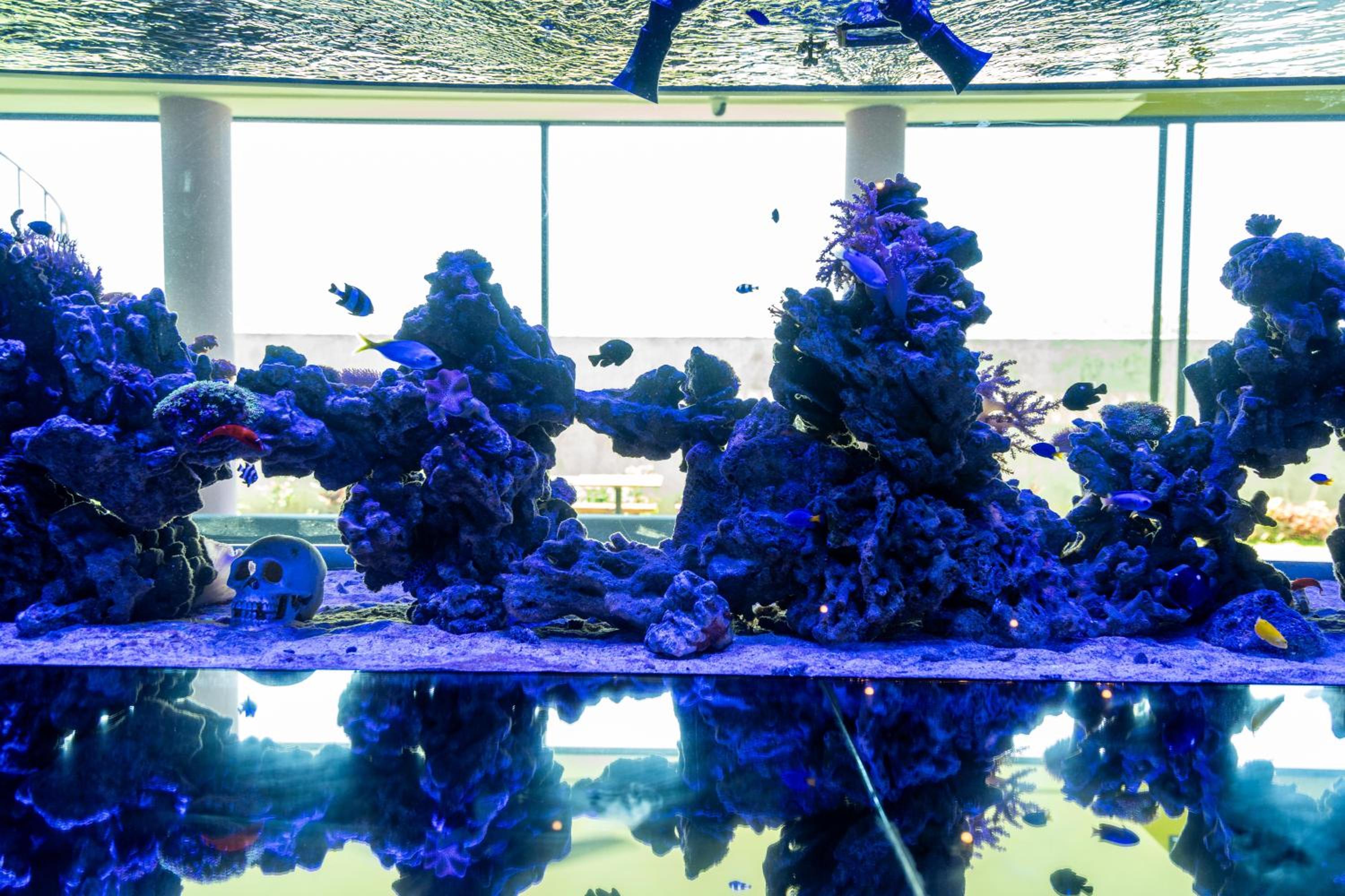 Jiya Villa Uluwatu - Panoramic Terraces with Stunning Views, Luxury Service and Entertainment