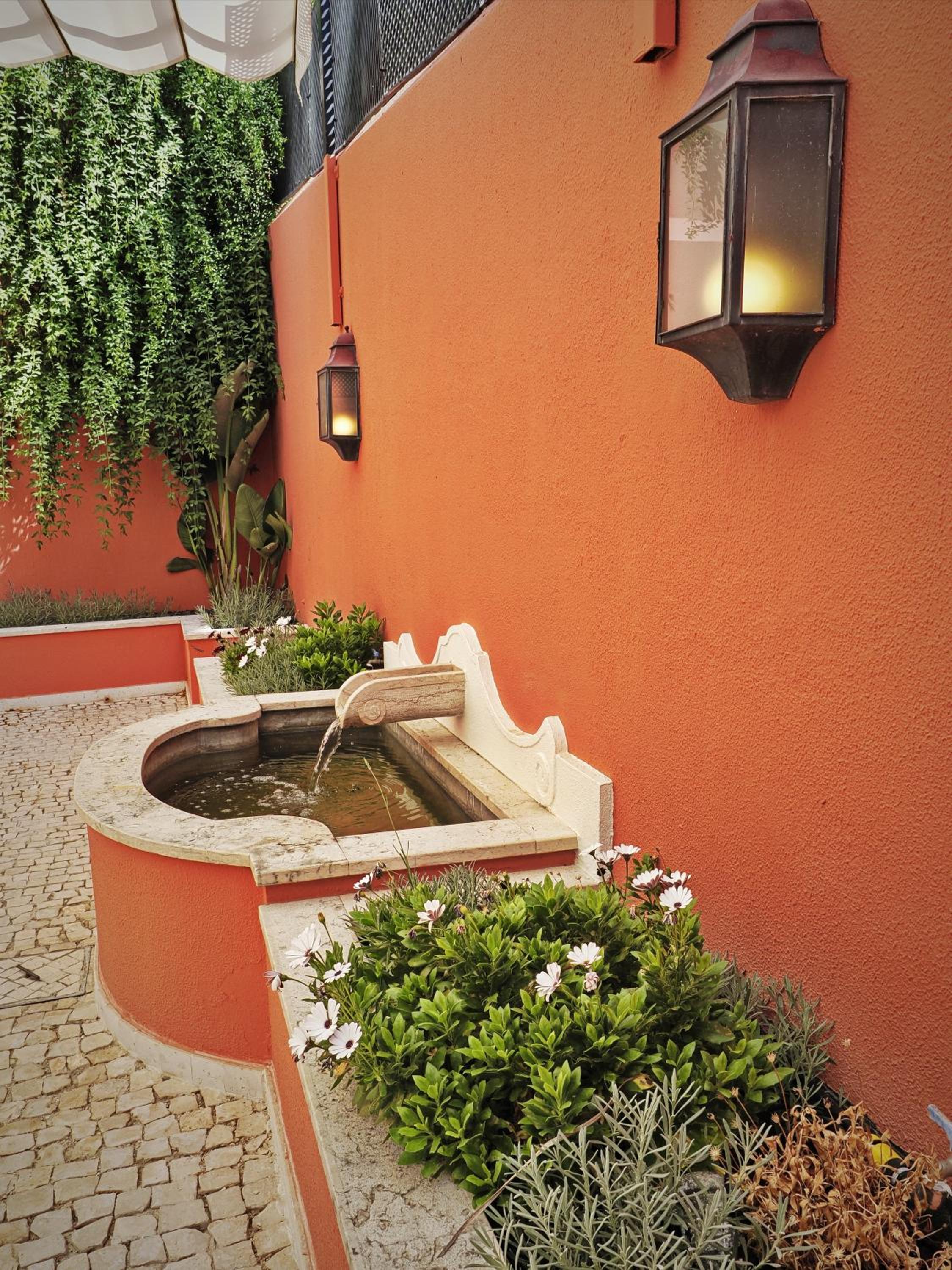 Lapa 82