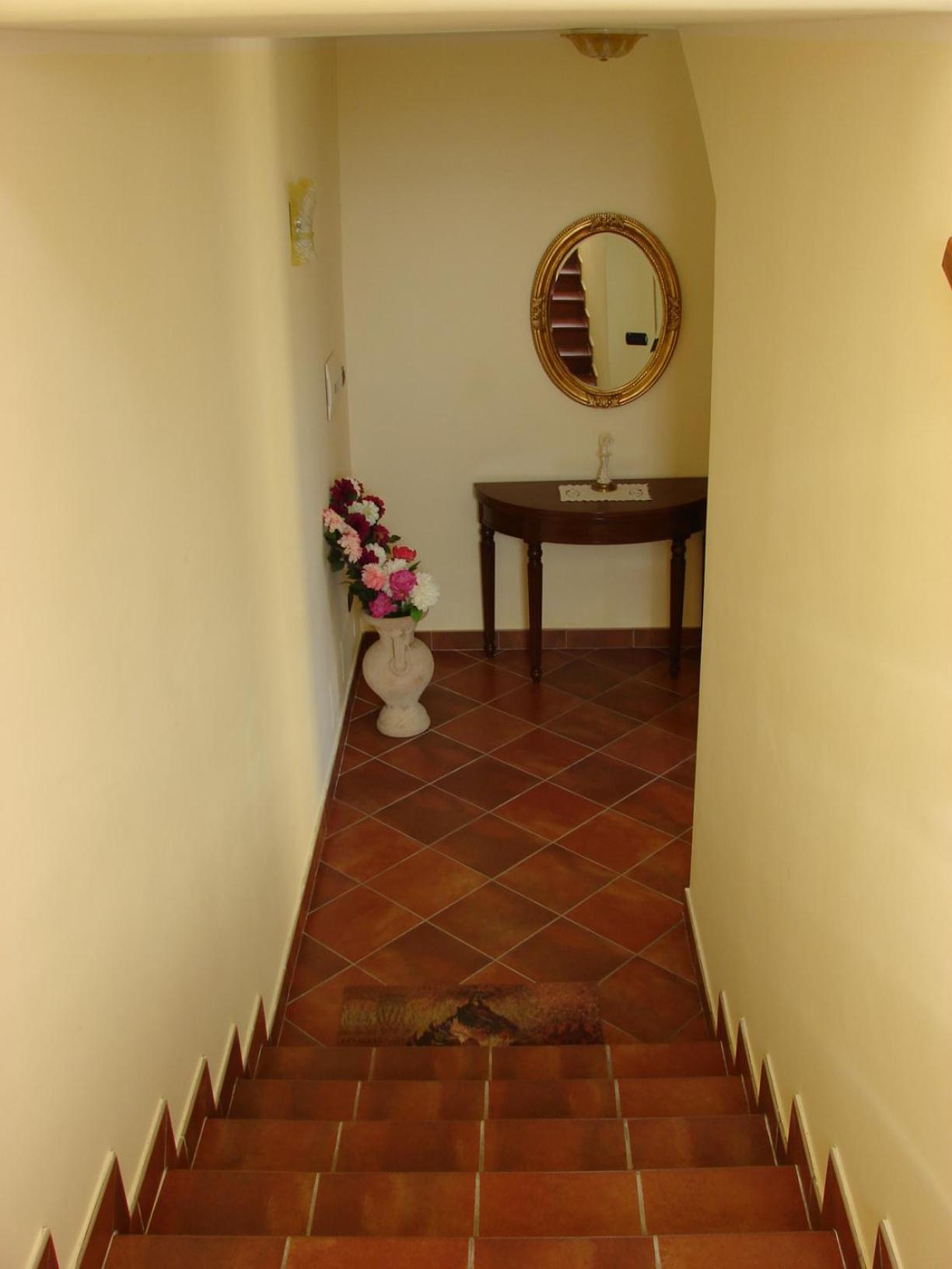 Azienda Agricola Carbone Cosimo view 3
