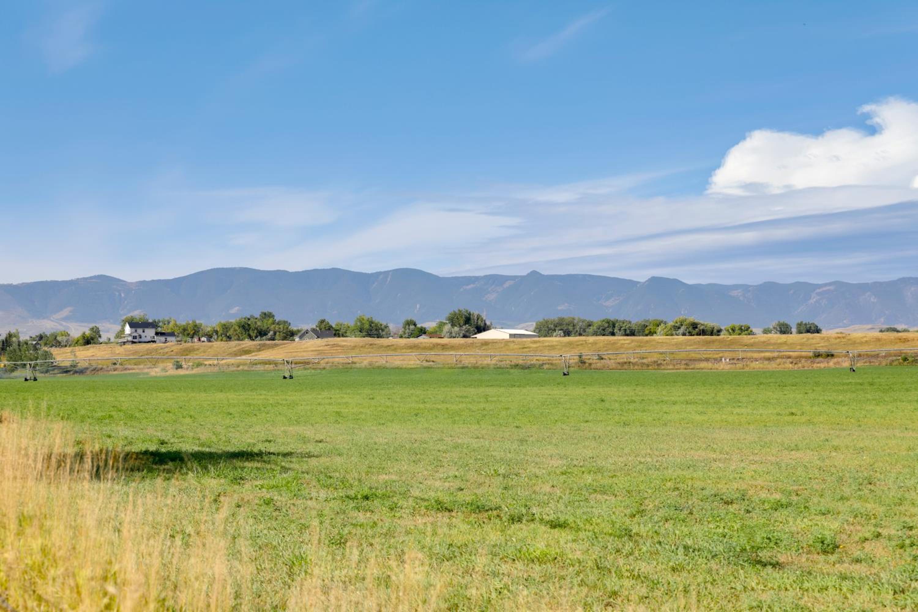 Waterfront Cabin with Bighorn Mountain Views!