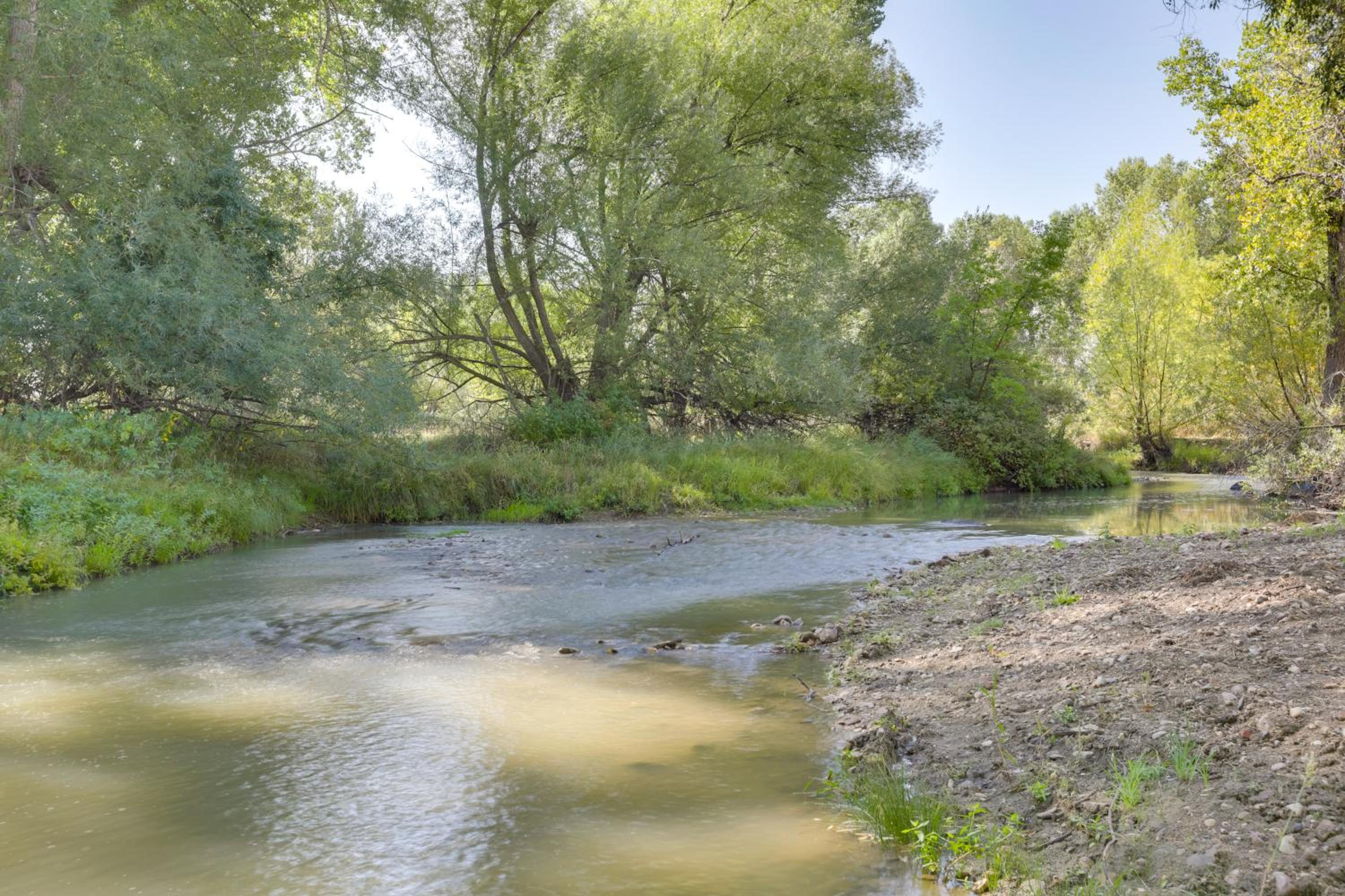 Waterfront Cabin with Bighorn Mountain Views!