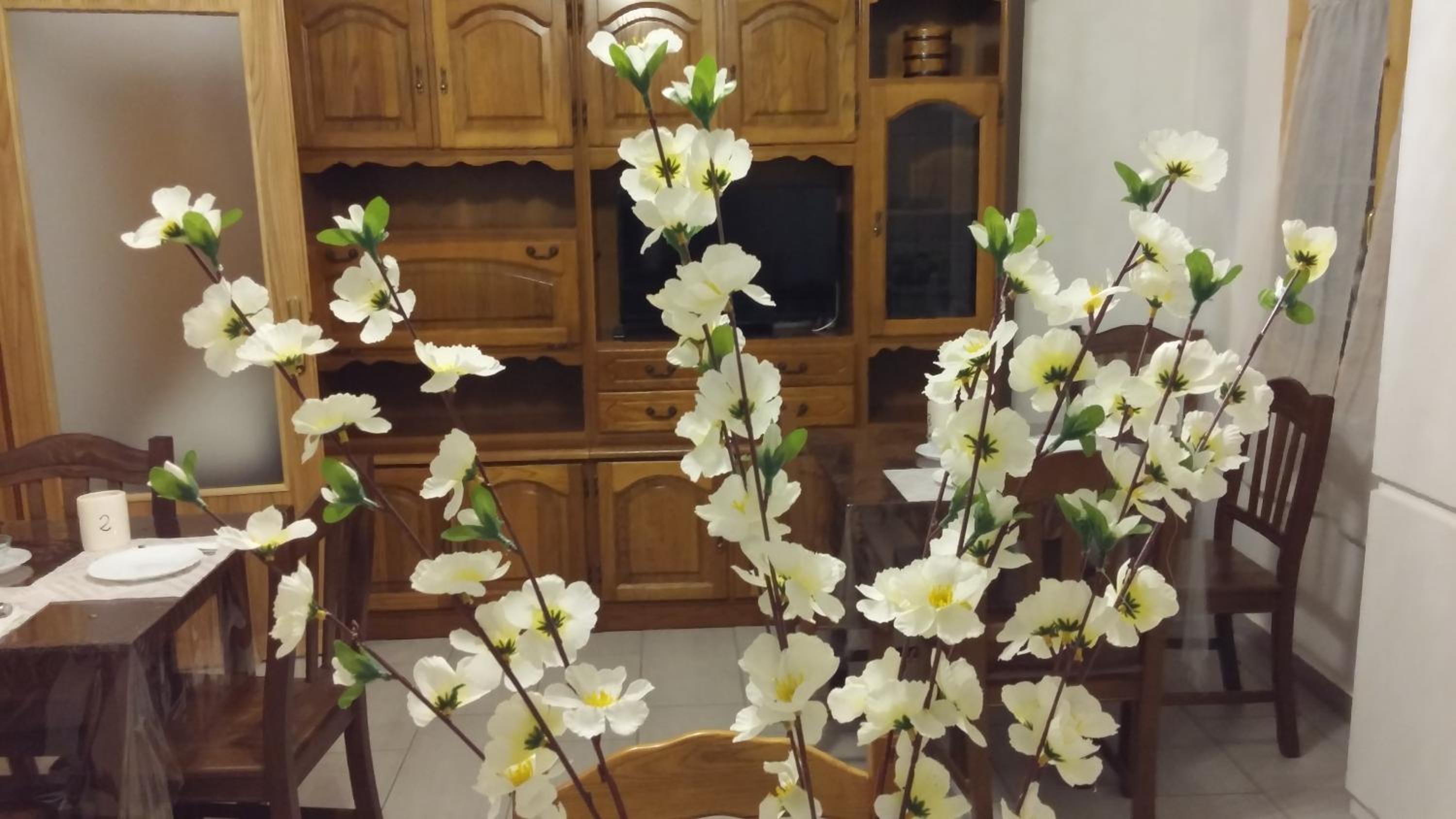 La Casina appartamento vacanze Assisi