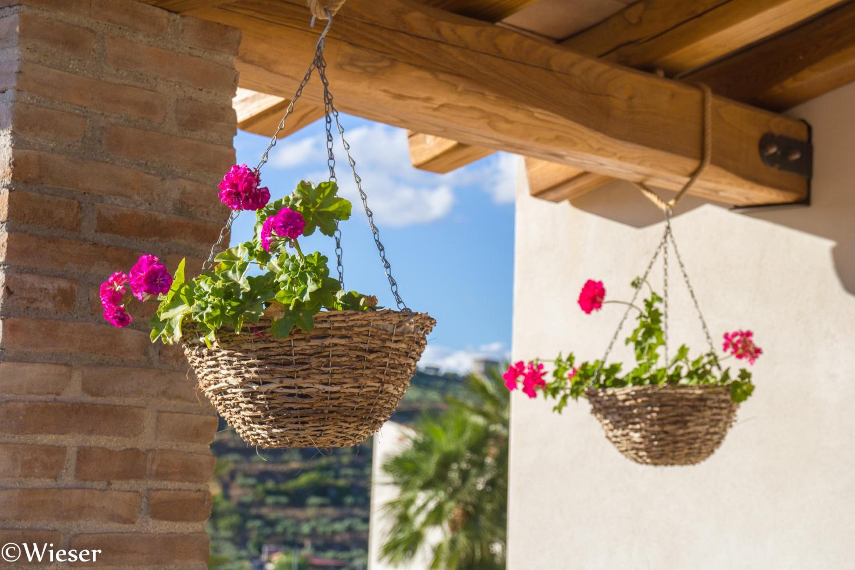 Tenute Piazza Countryhouse