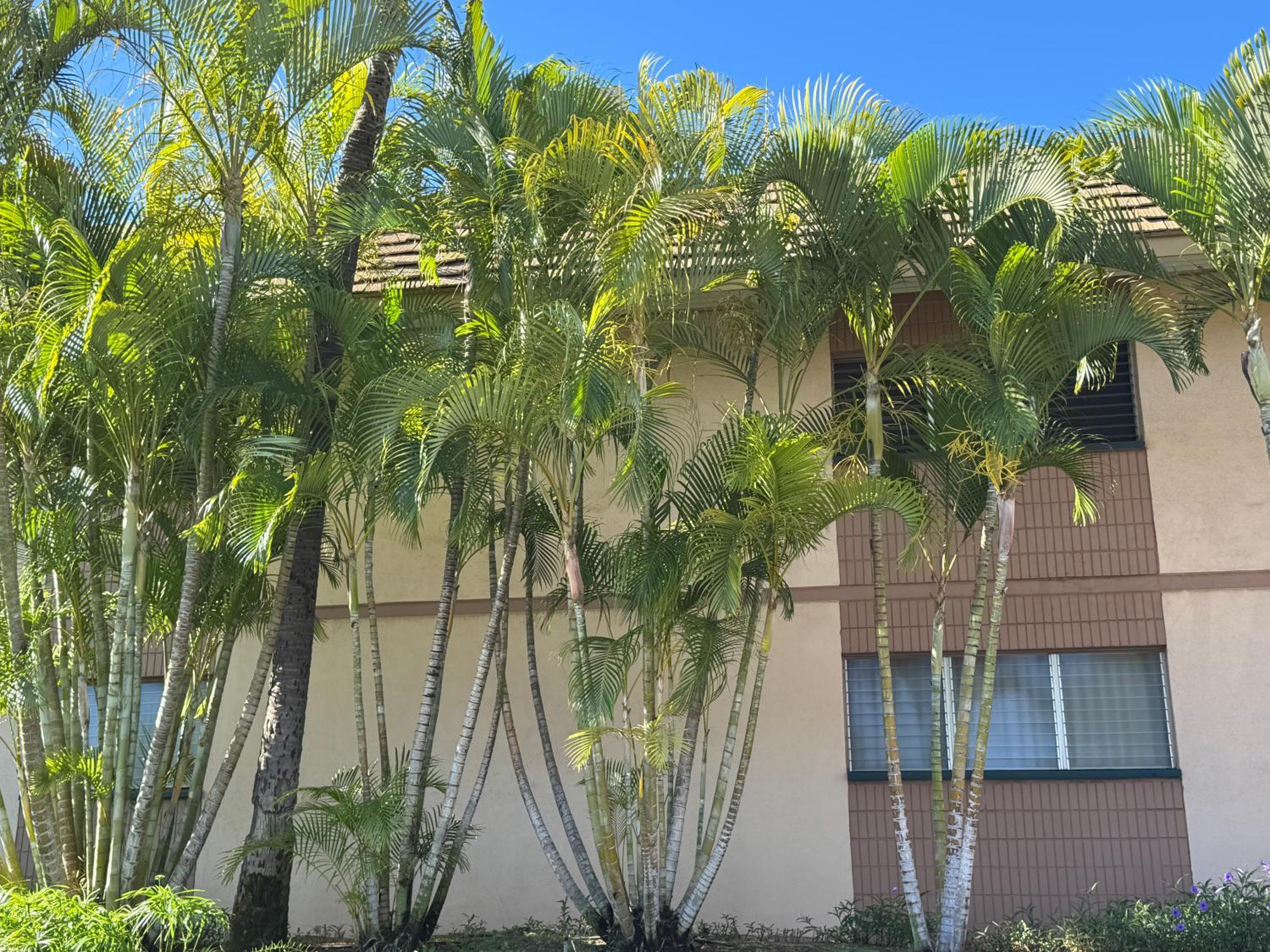 Kihei Beach Condo, Romantic Kamaole II