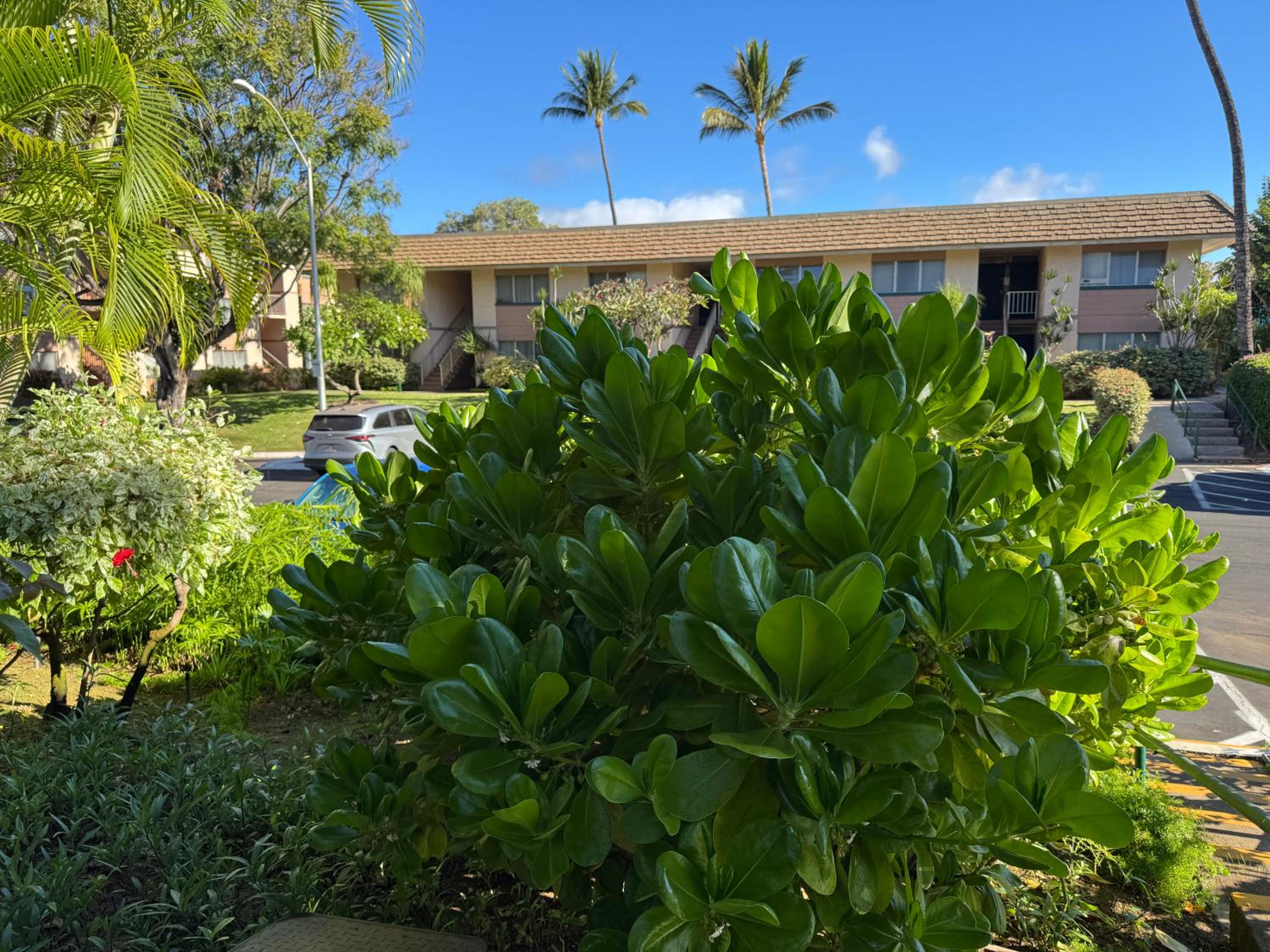 Kihei Beach Condo, Romantic Kamaole II