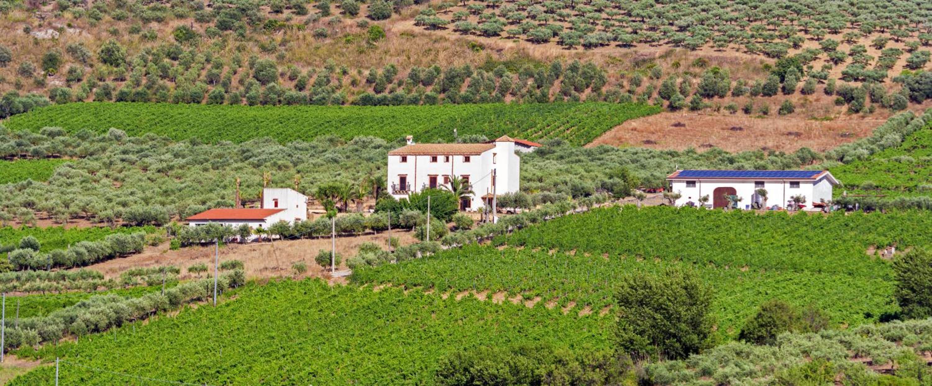 Tenute Piazza Countryhouse