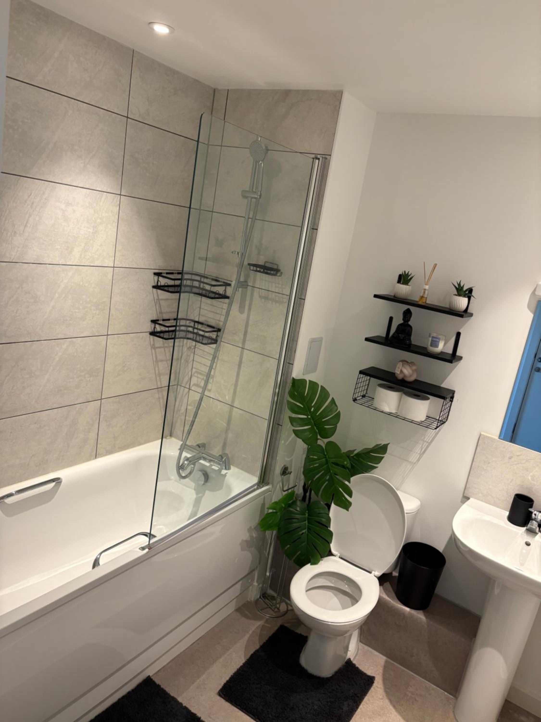 Perfect New Built Property, Wandsworth