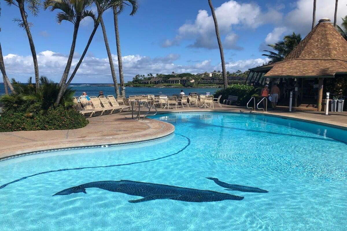 Napili Shores D227 · NS D227 OceanFront Resort w Pool