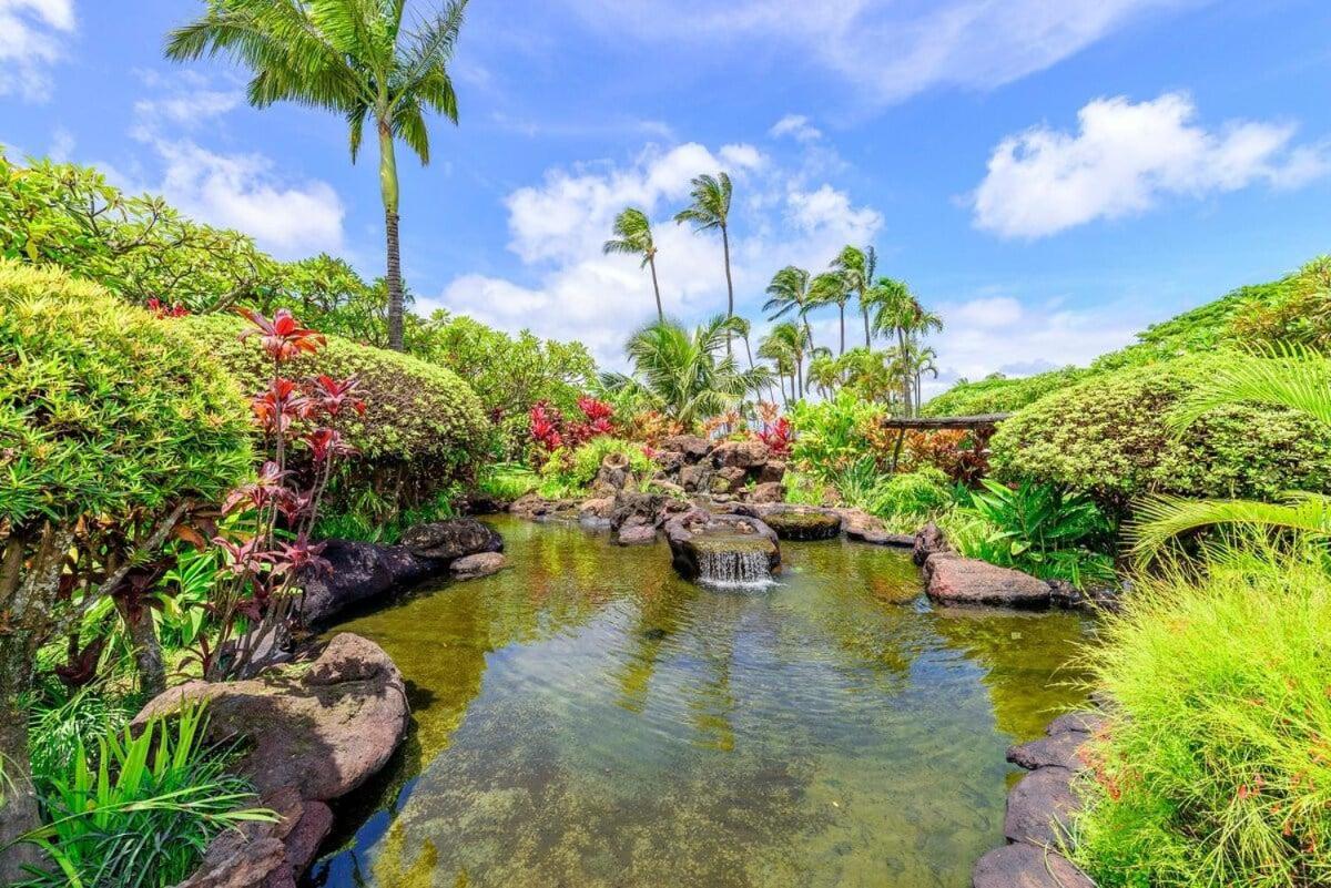 Napili Shores D227 · NS D227 OceanFront Resort w Pool