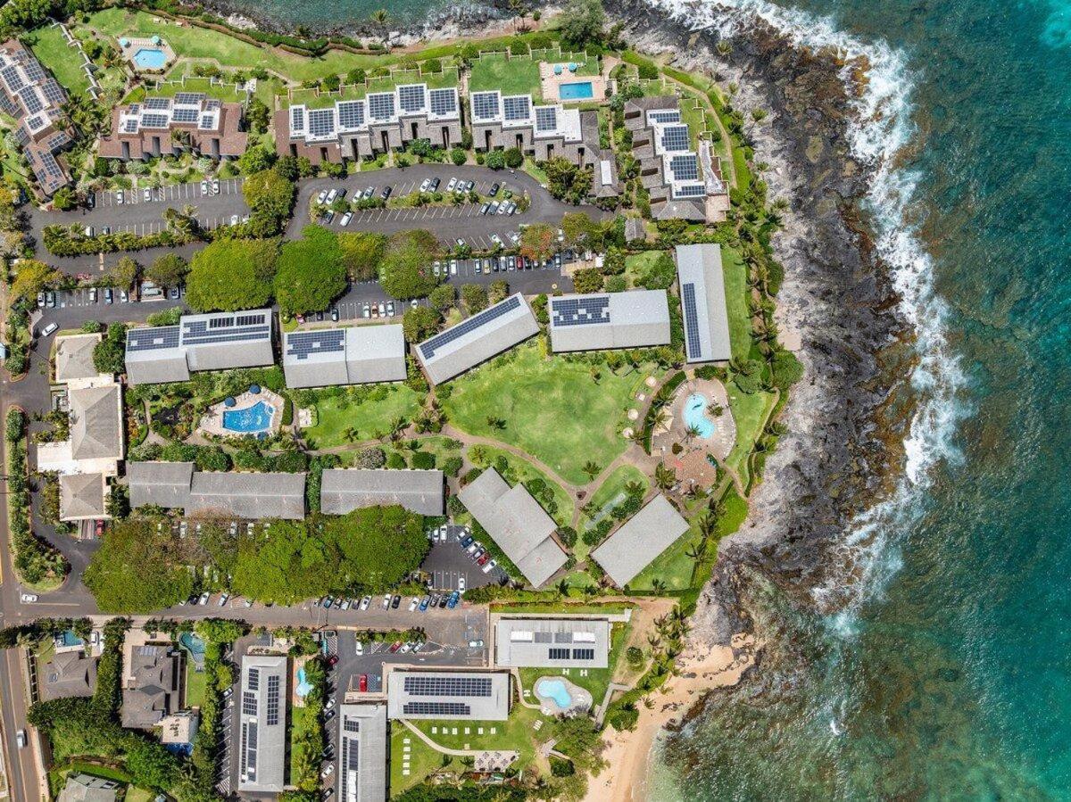 Napili Shores D227 · NS D227 OceanFront Resort w Pool