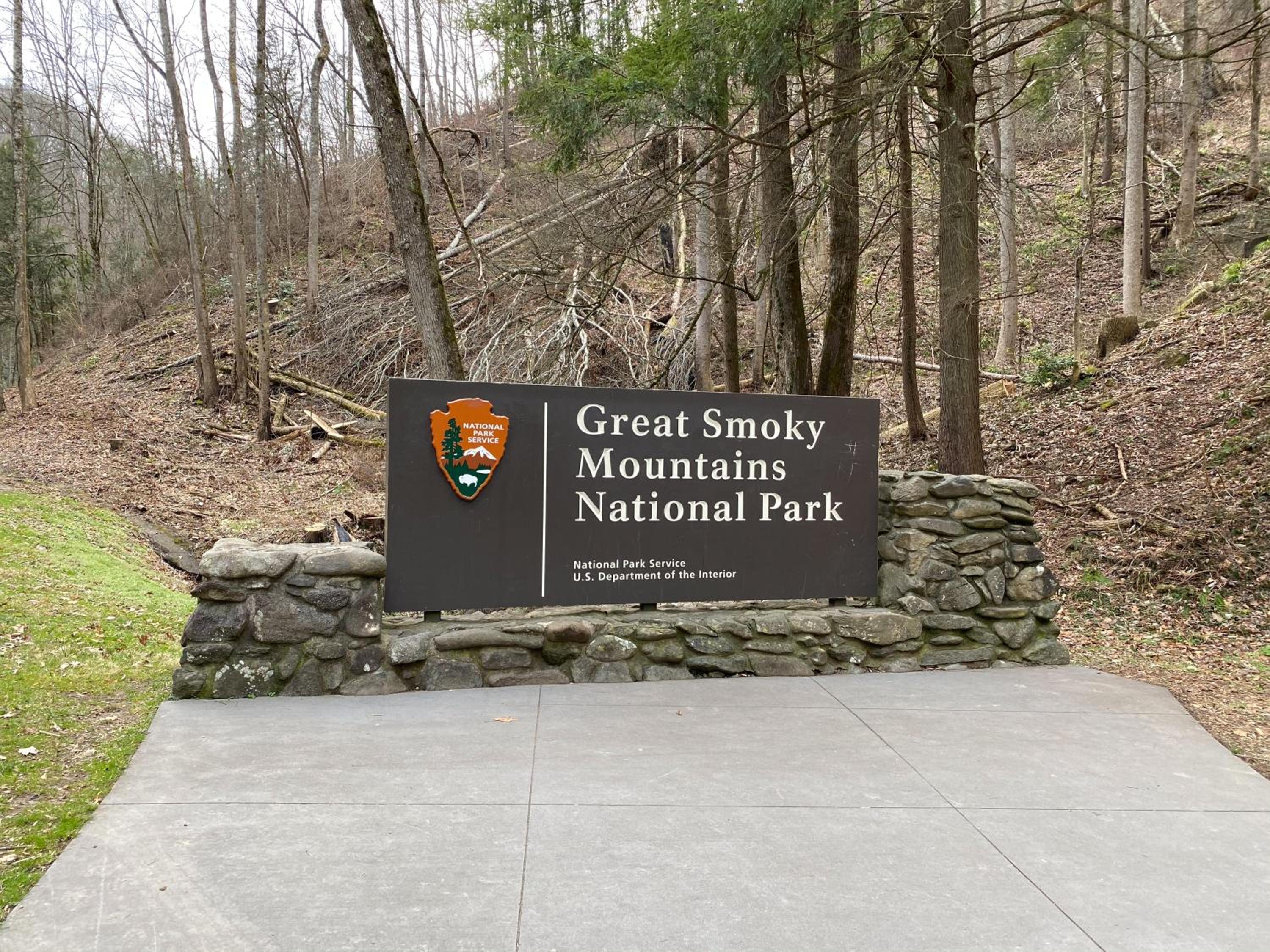 Mountainview Majesty